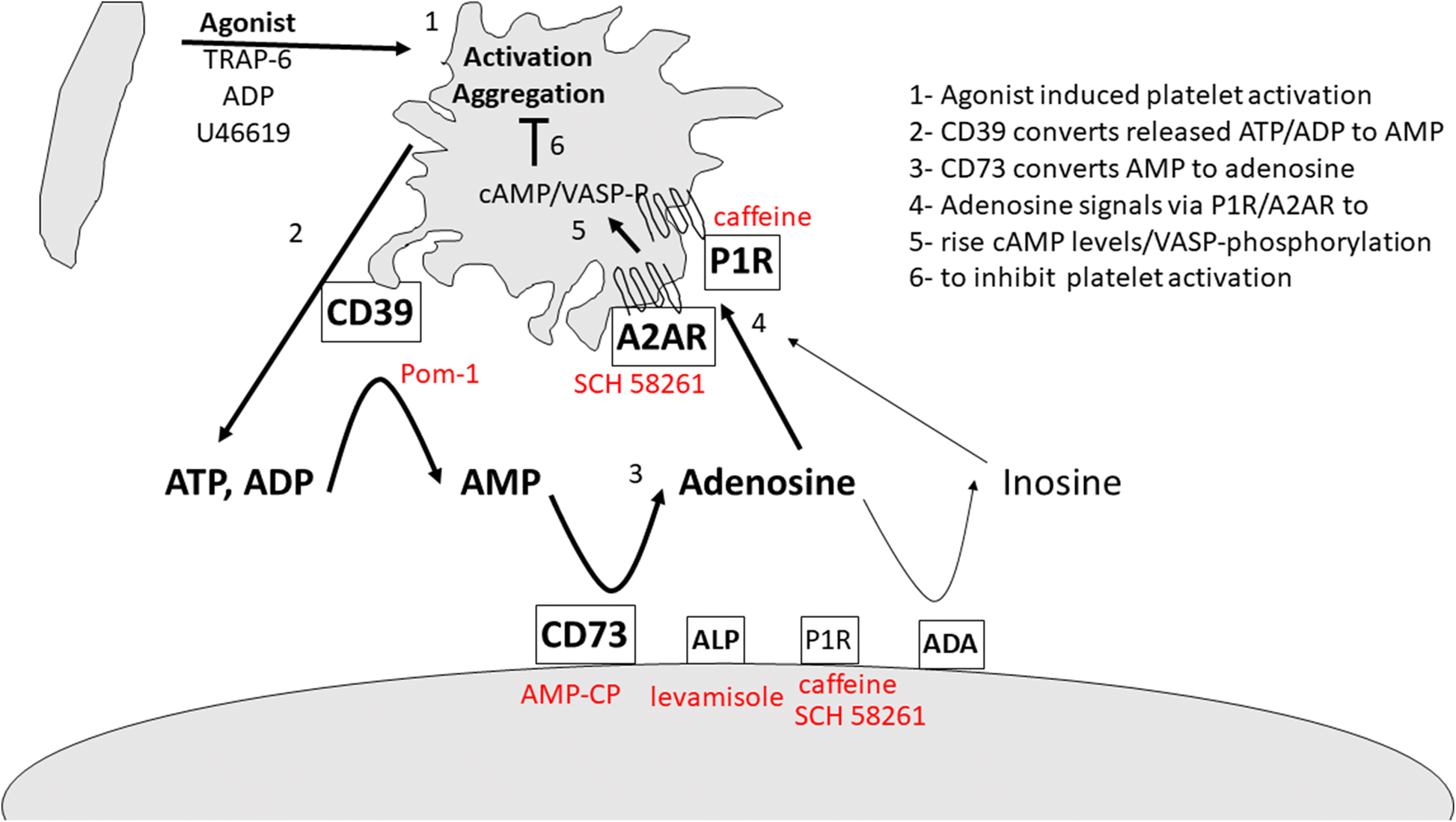 Fig. 8