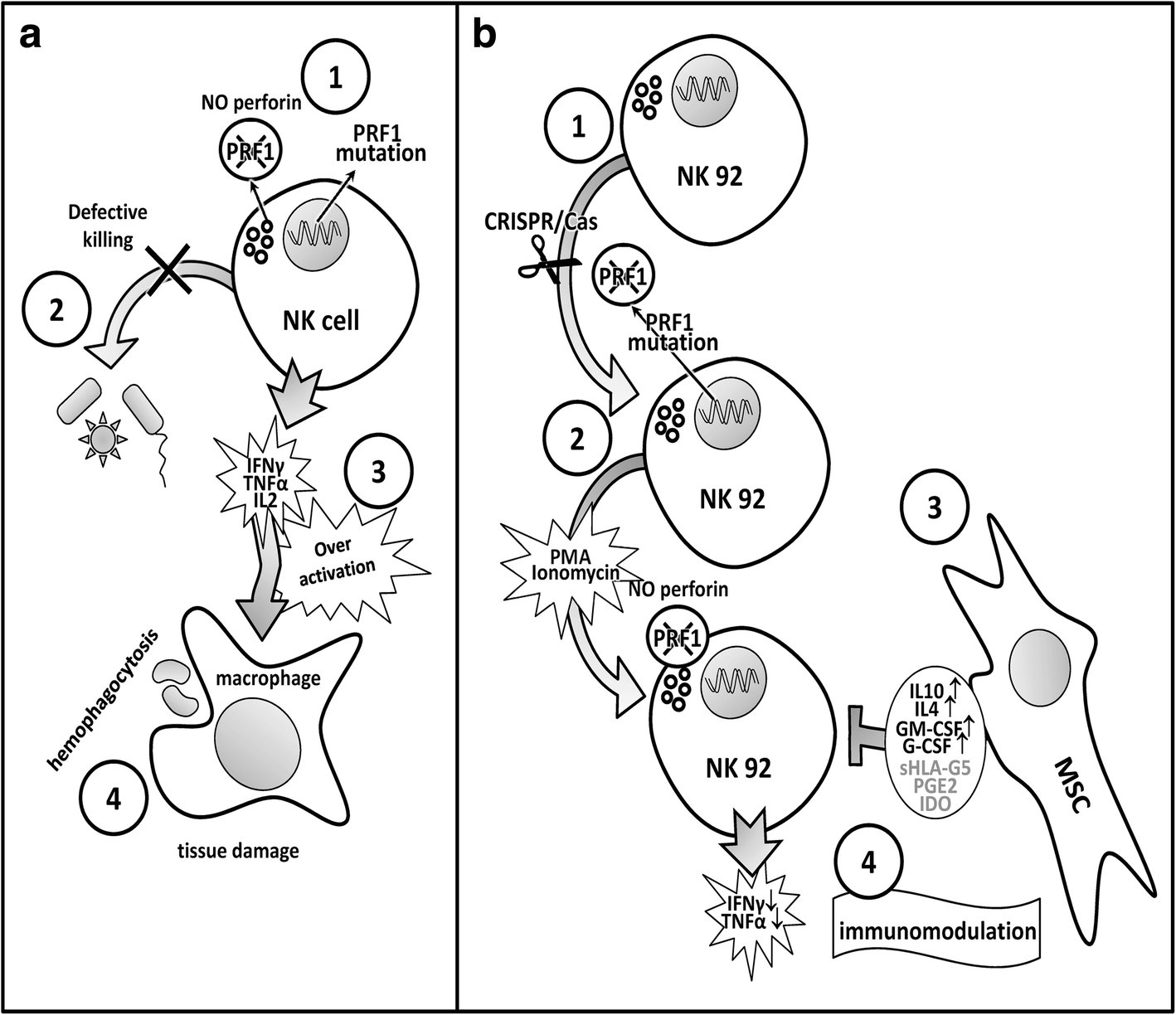 Fig. 6