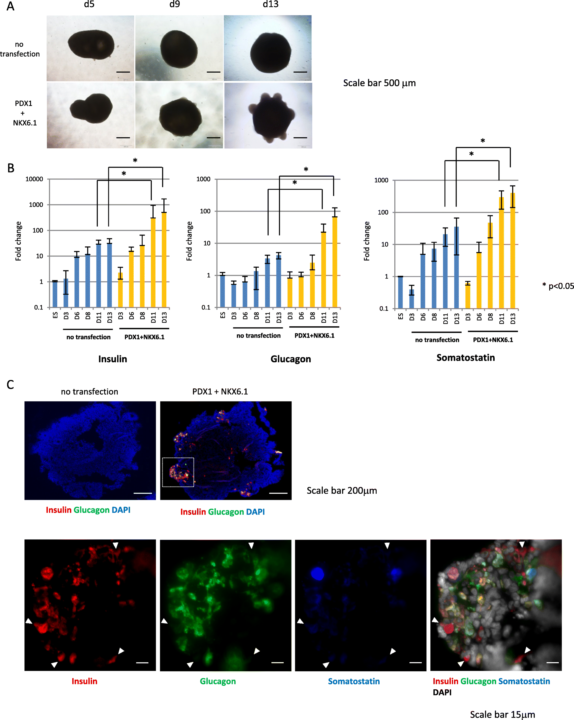 Fig. 4