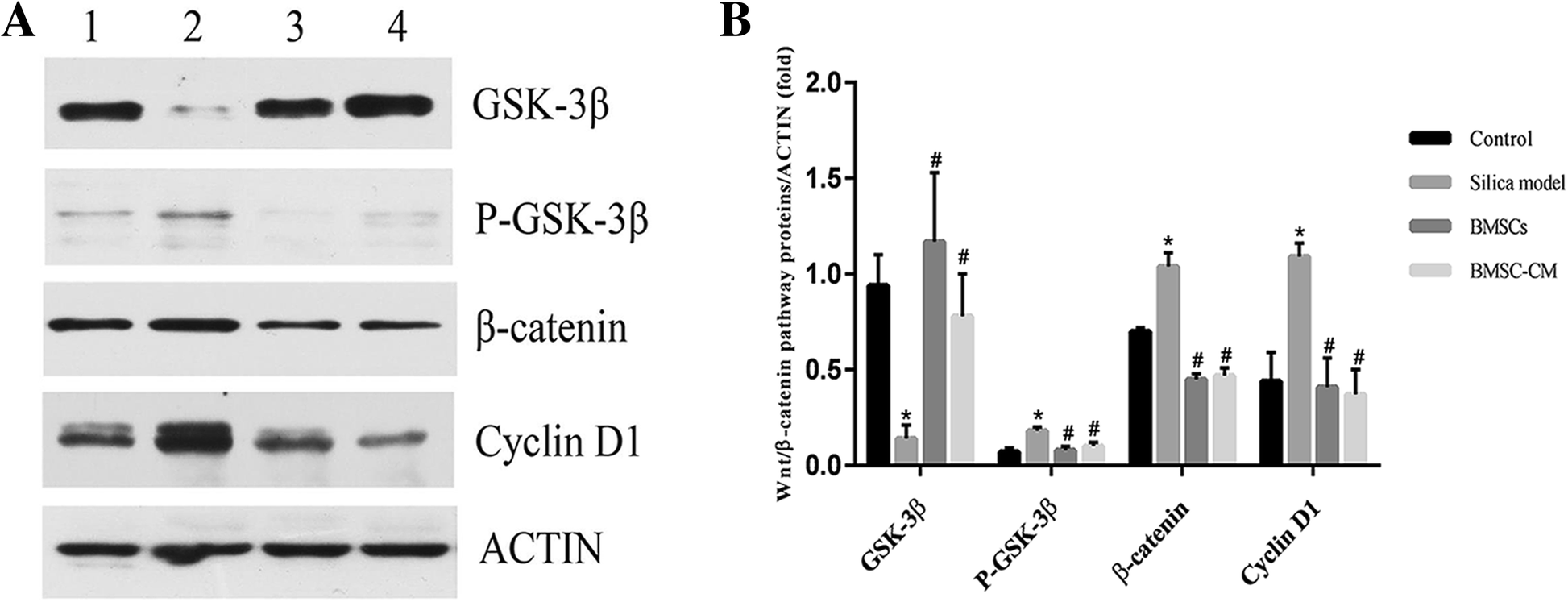 Fig. 10