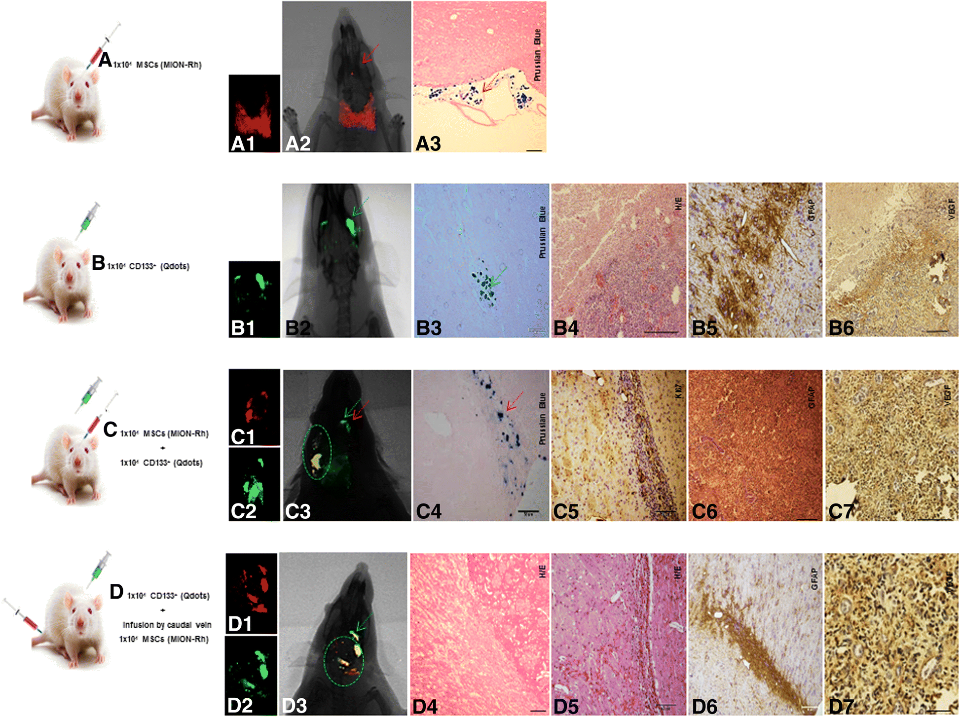 Fig. 4