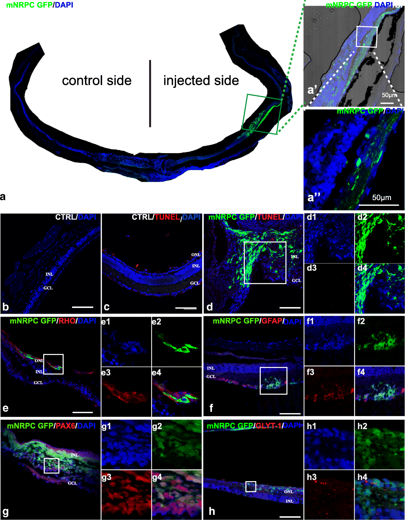 Fig. 5