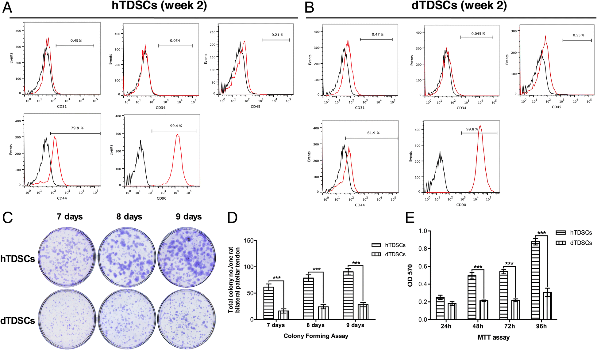 Impaired function of tendon-derived stem cells in experimental diabetes  mellitus rat tendons: implications for cellular mechanism of diabetic tendon  disorder | Stem Cell Research & Therapy | Full Text