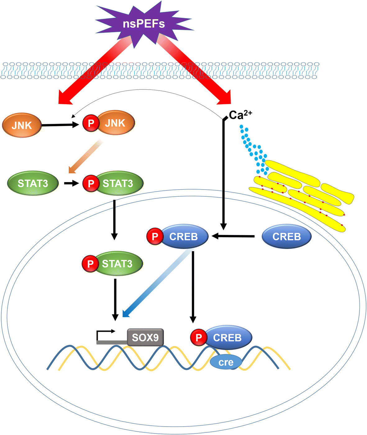 Fig. 7