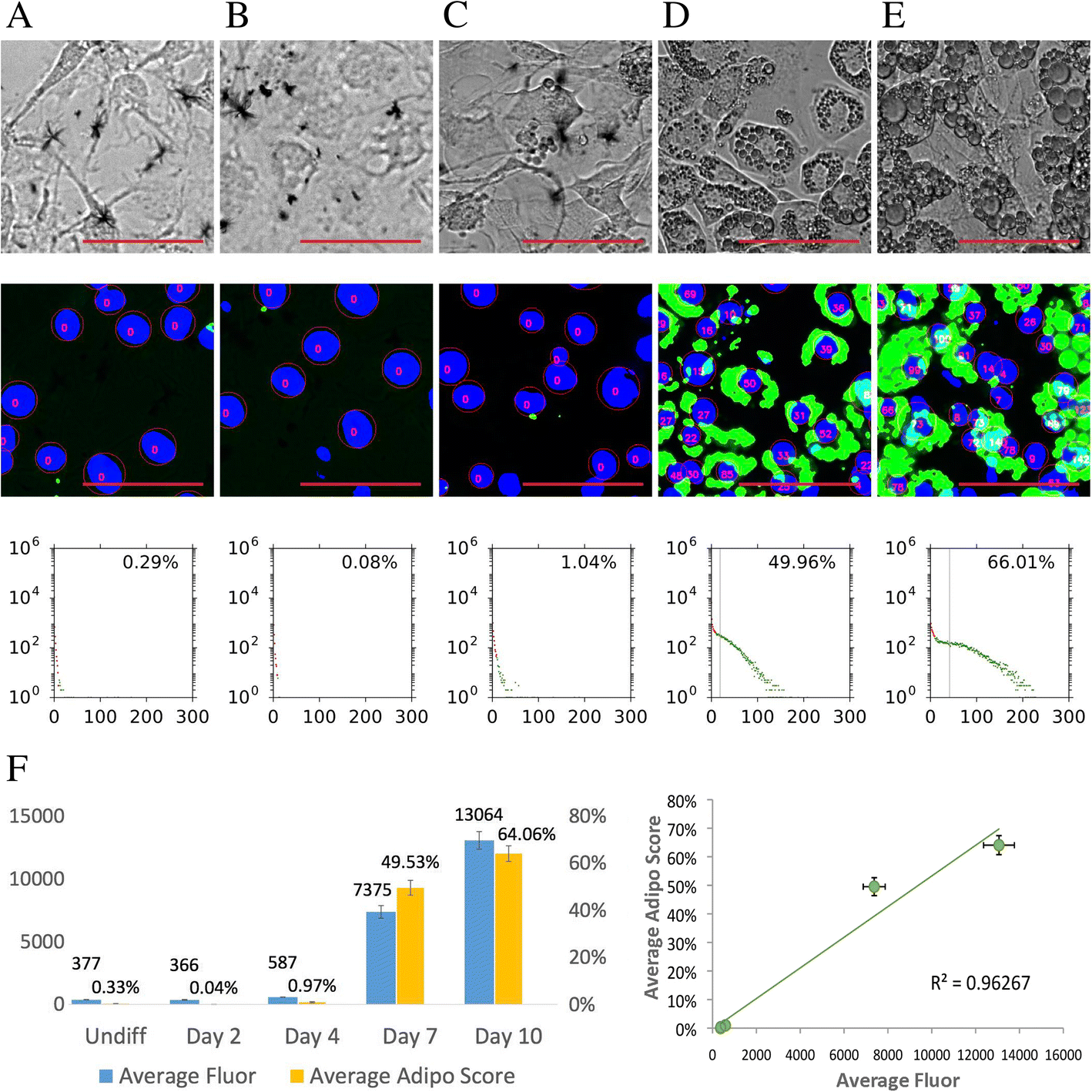 Fig. 3