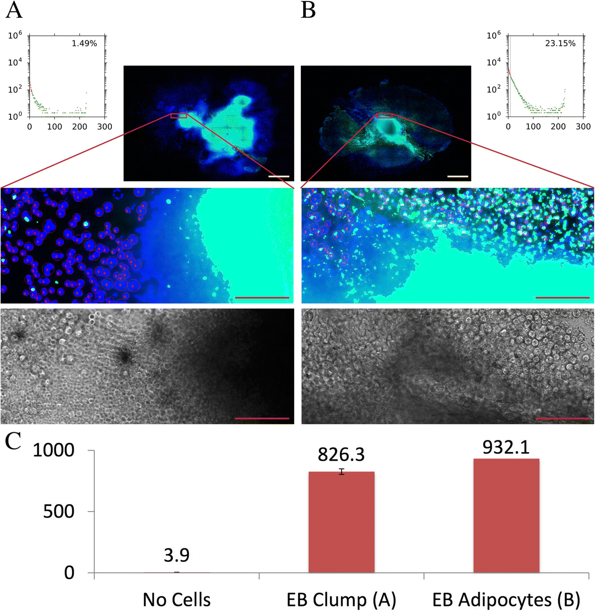 Fig. 6