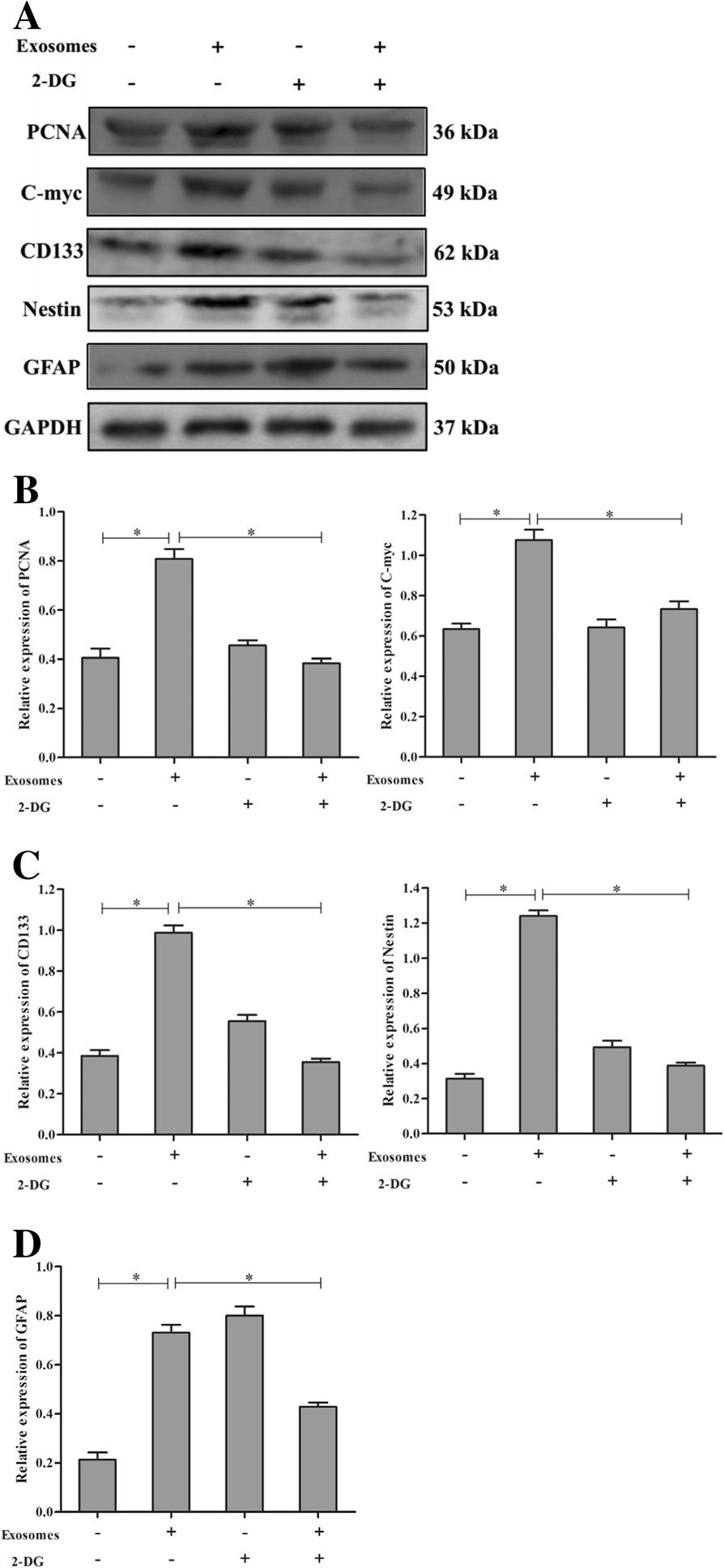 Fig. 12