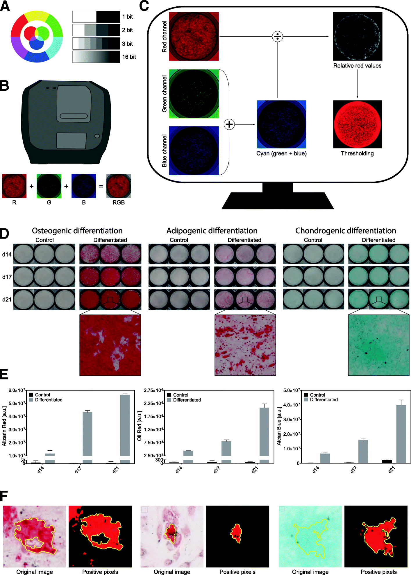 Fig. 1