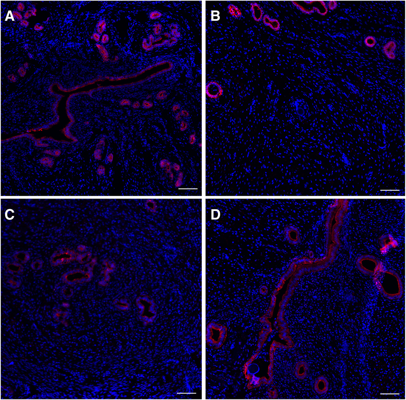 Fig. 5