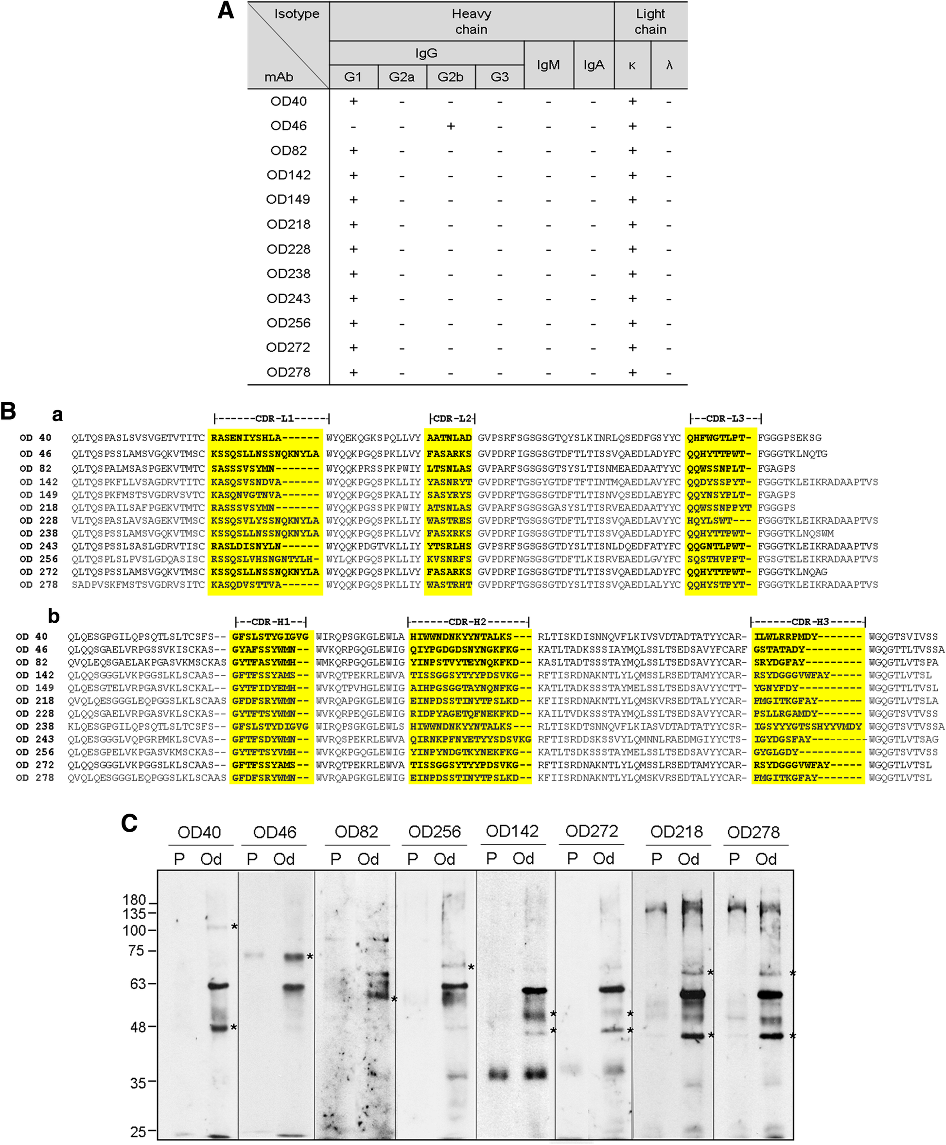 Identification of dentinogenic cell-specific surface antigens in  odontoblast-like cells derived from adult dental pulp | Stem Cell Research  & Therapy | Full Text