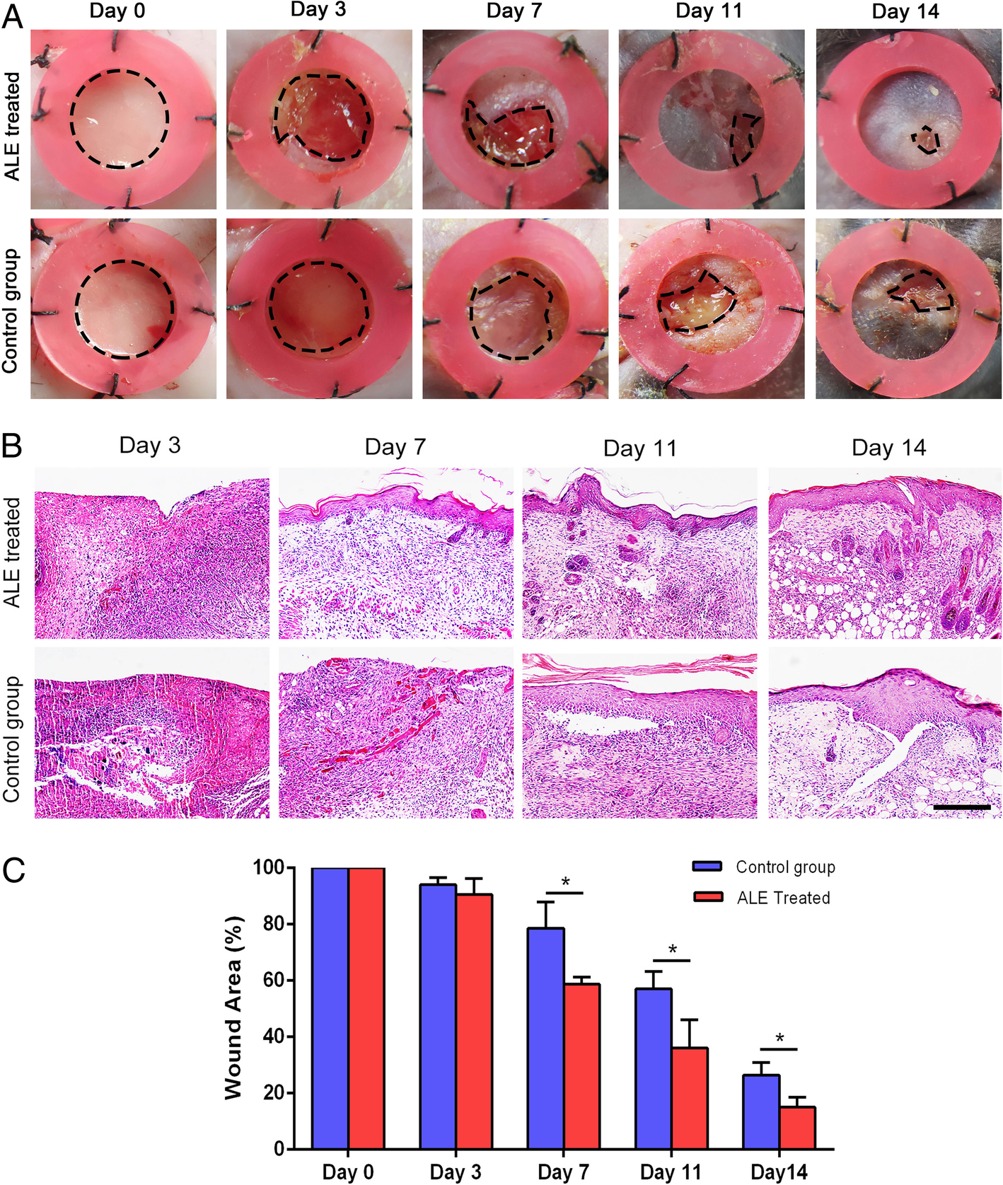 Fig. 4