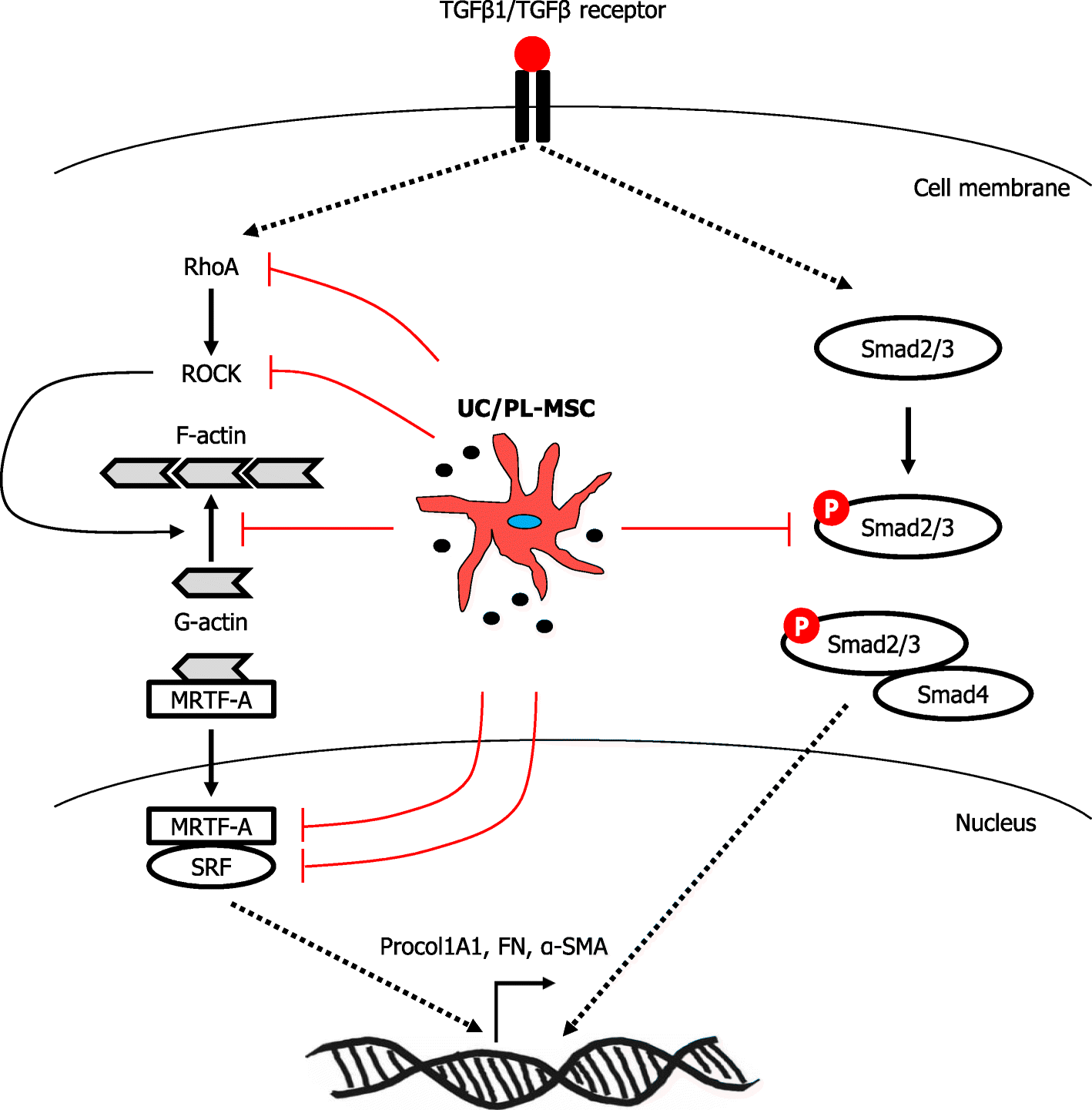 Fig. 8