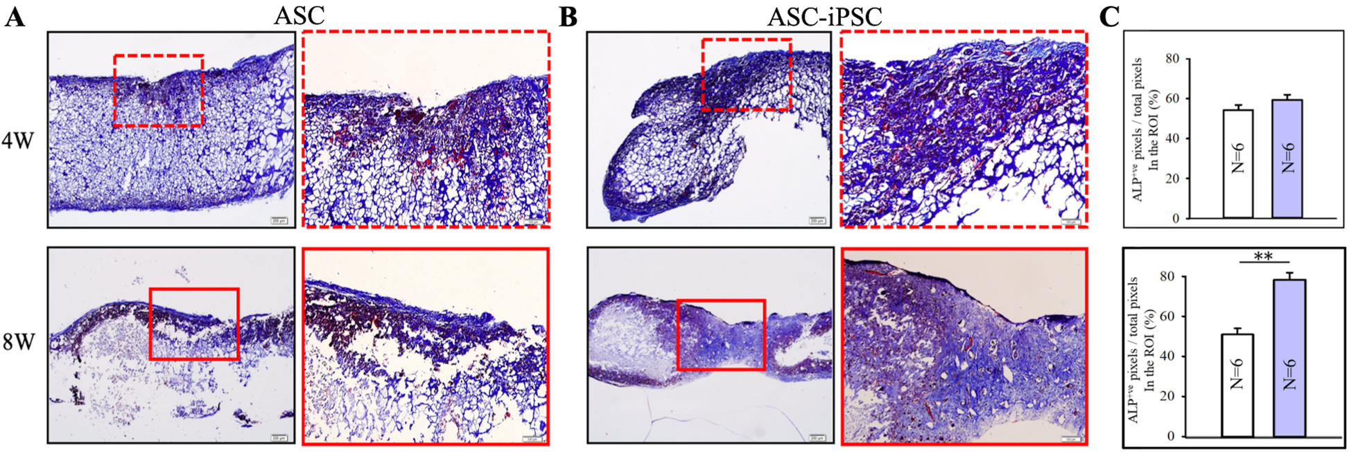 Fig. 4