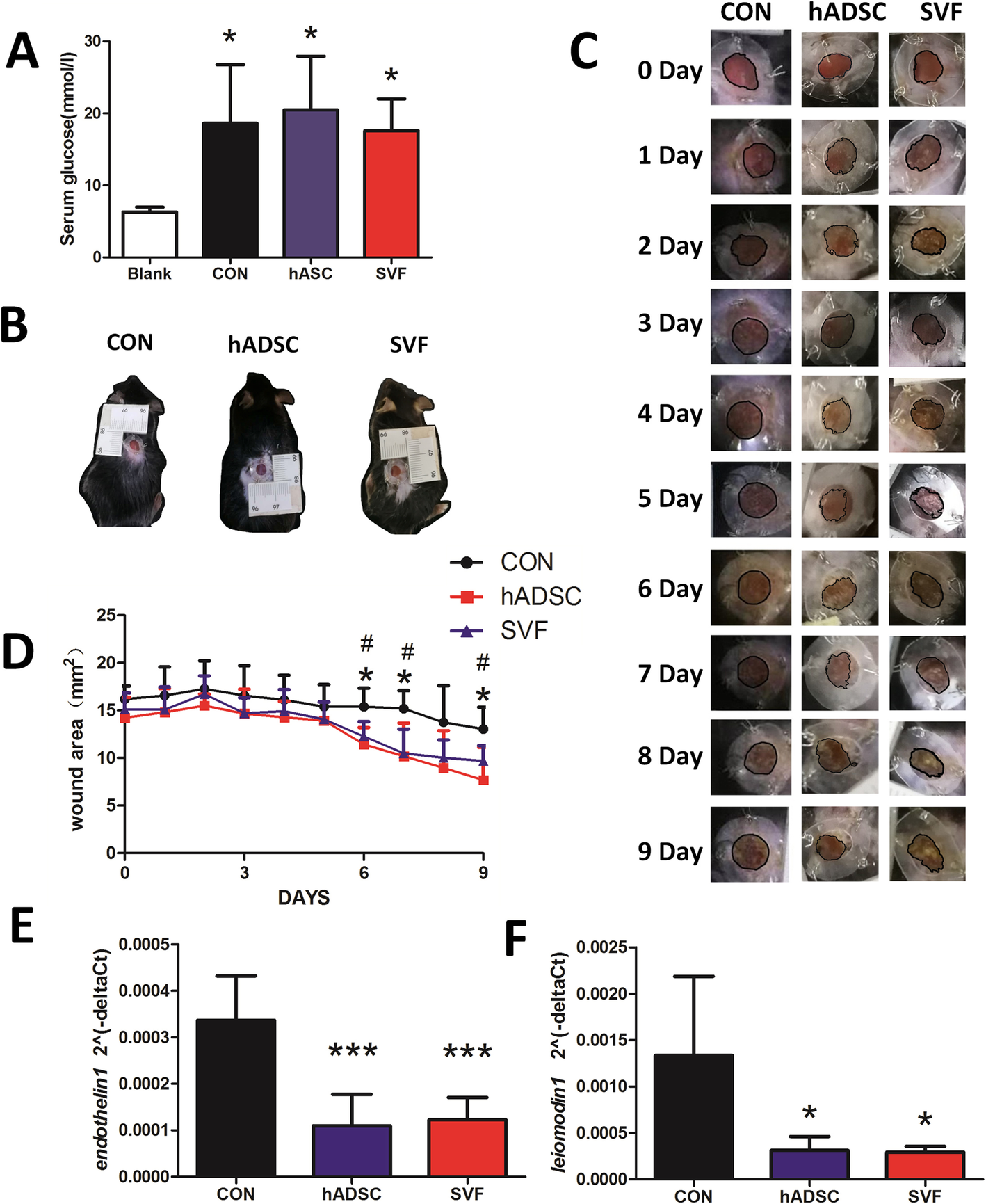 Fig. 4