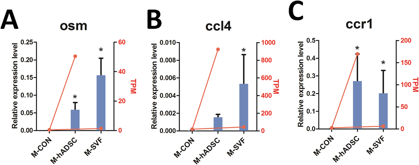 Fig. 7