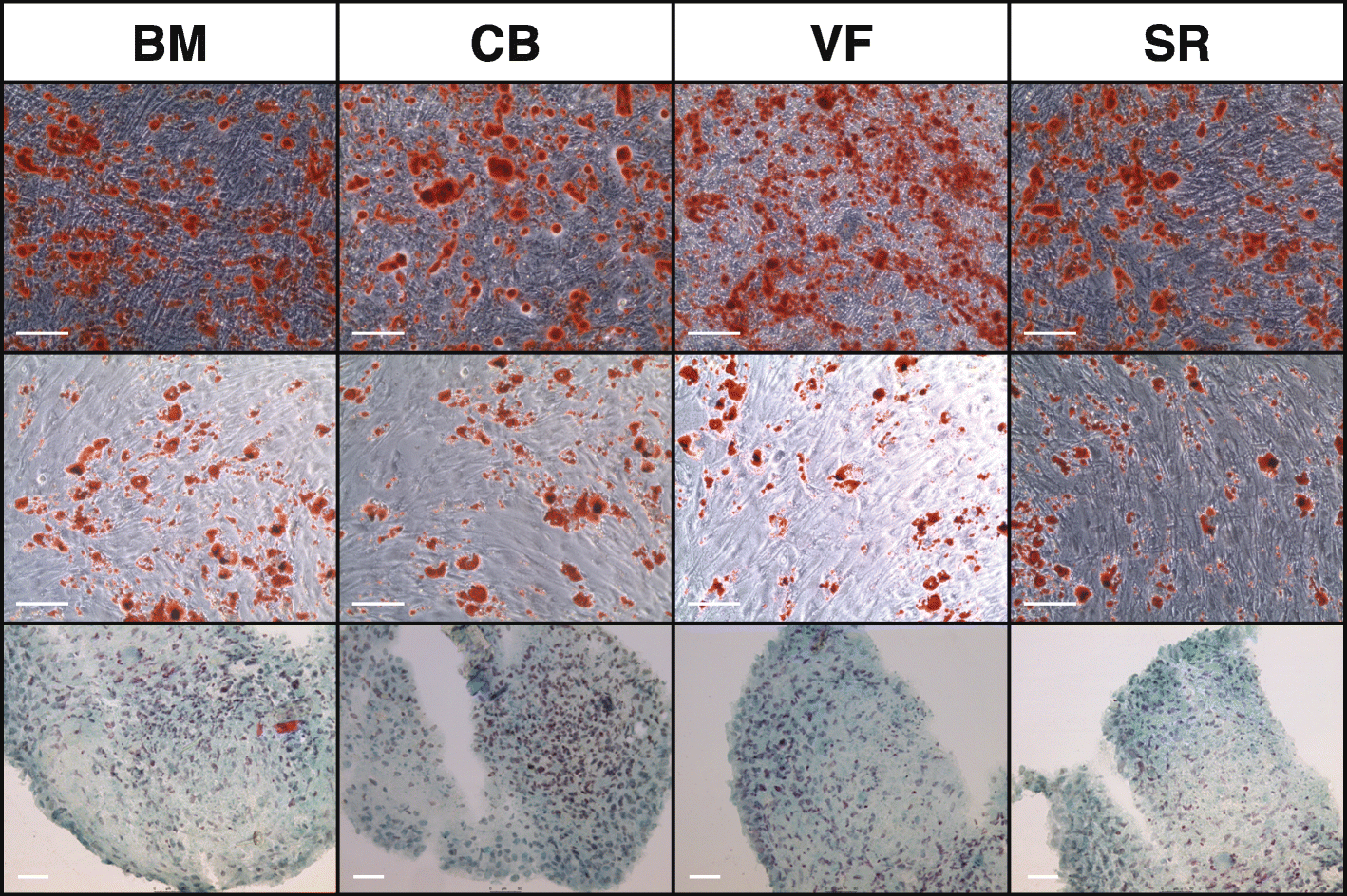 Fig. 5