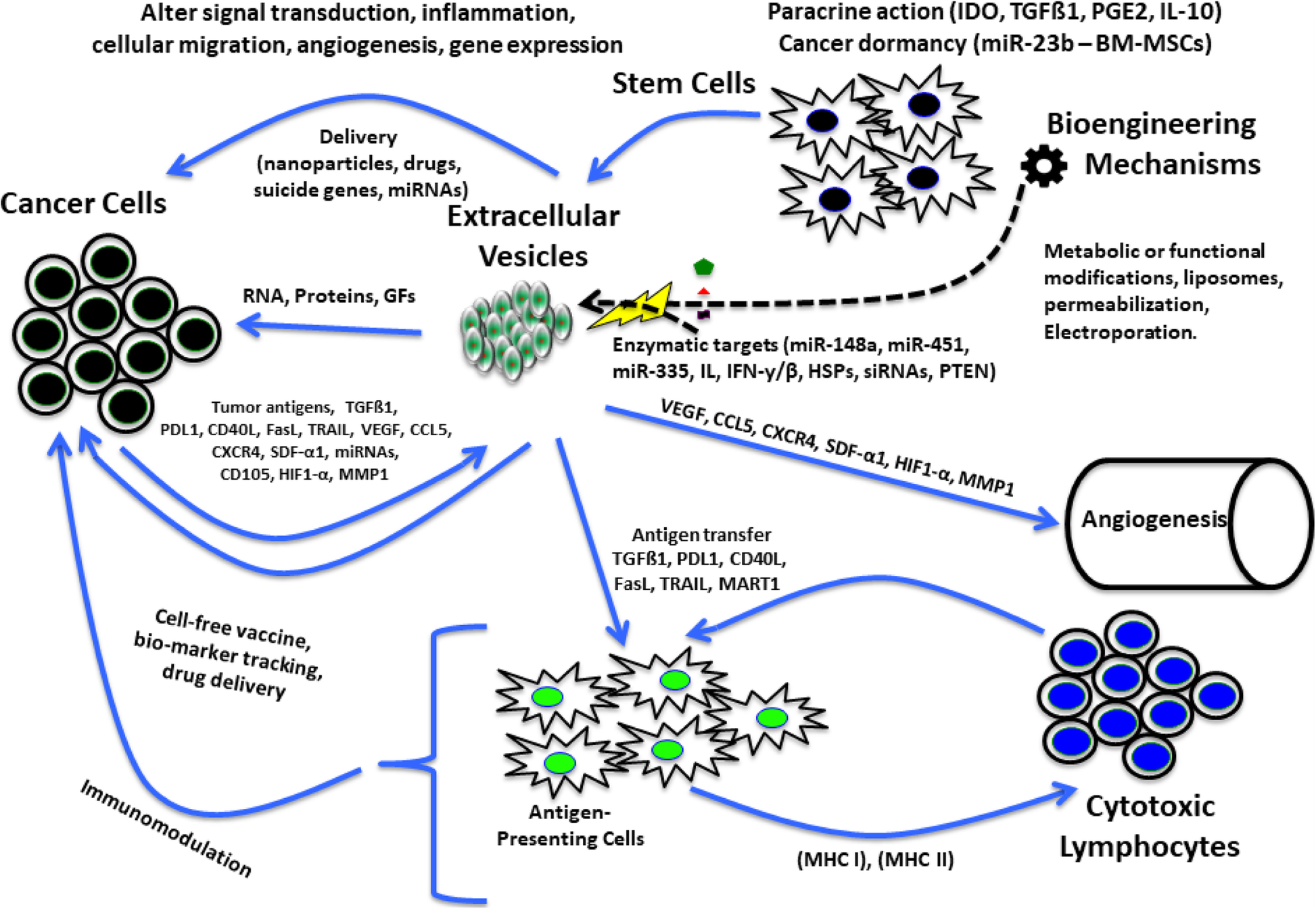 shallow reality lay off Stem cell-derived extracellular vesicles: role in oncogenic processes, bioengineering potential, and technical challenges | Stem Cell Research & Therapy | Full Text shallow reality lay off Stem cell-derived extracellular vesicles: role in oncogenic processes, bioengineering potential, and technical challenges | Stem Cell Research & Therapy | Full Text