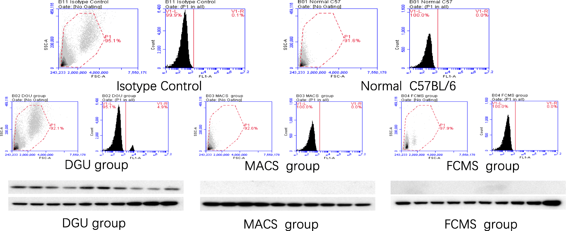 Fig. 11