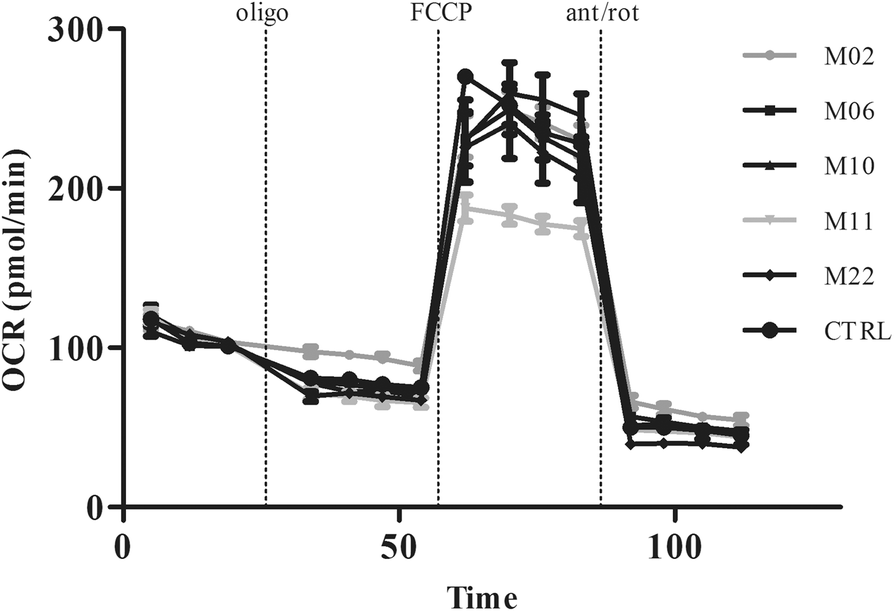 Fig. 5