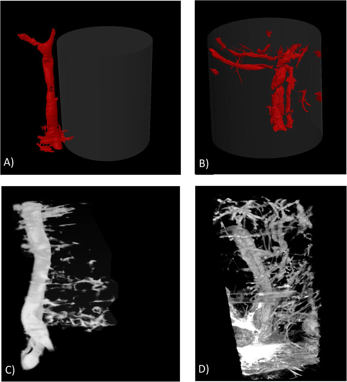 Fig. 6