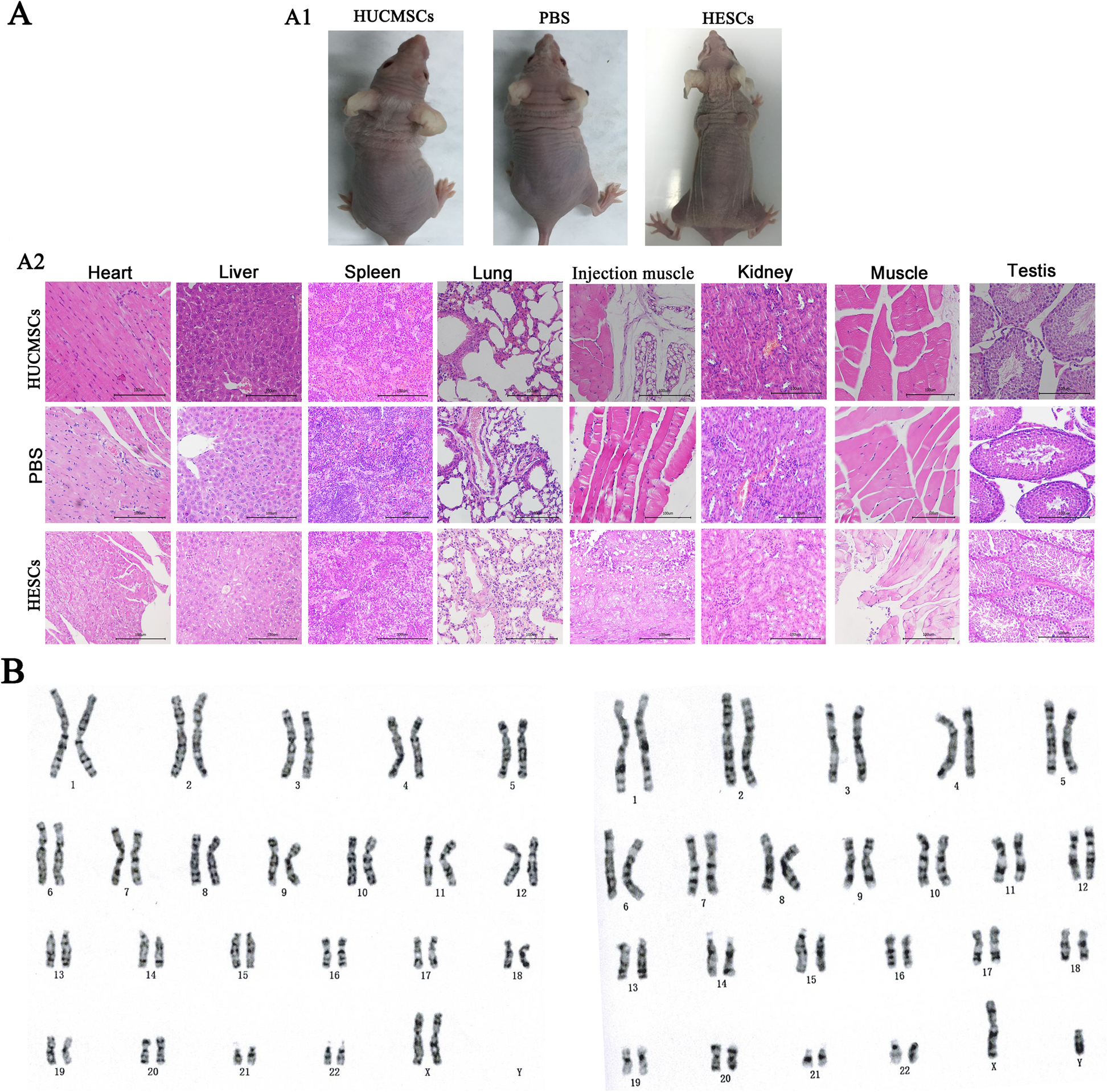 Fig. 4