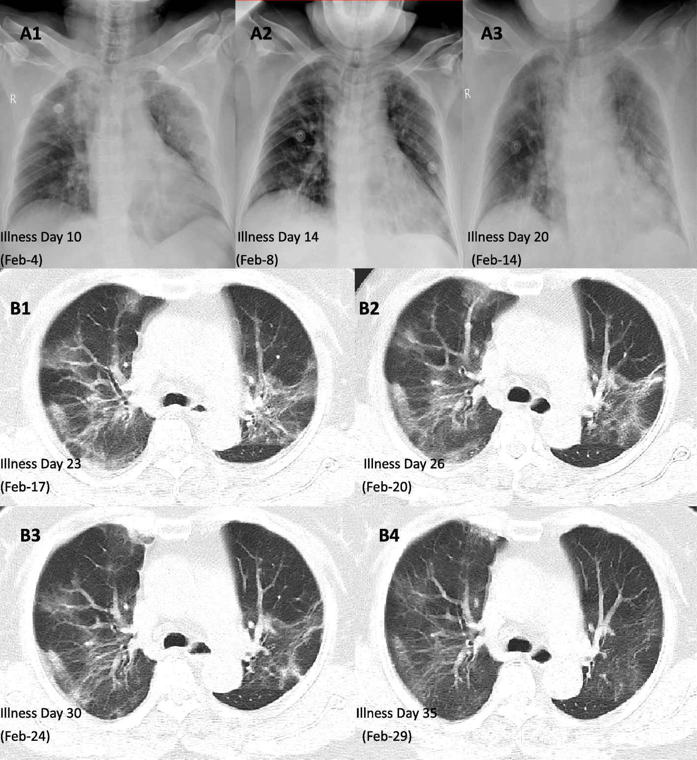 Fig. 2