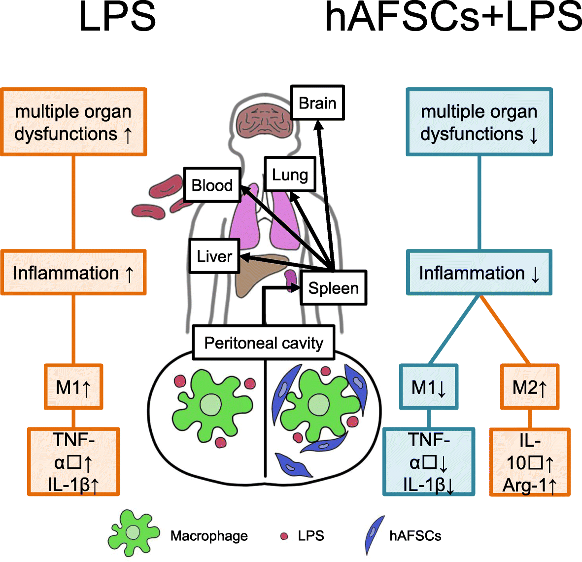 Fig. 6