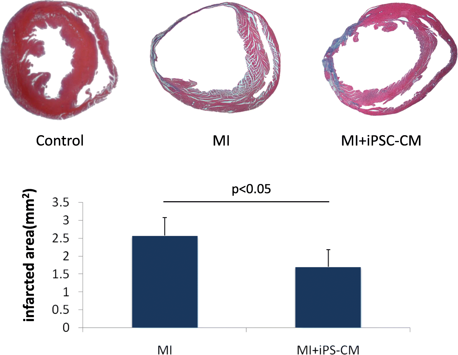 Fig. 5