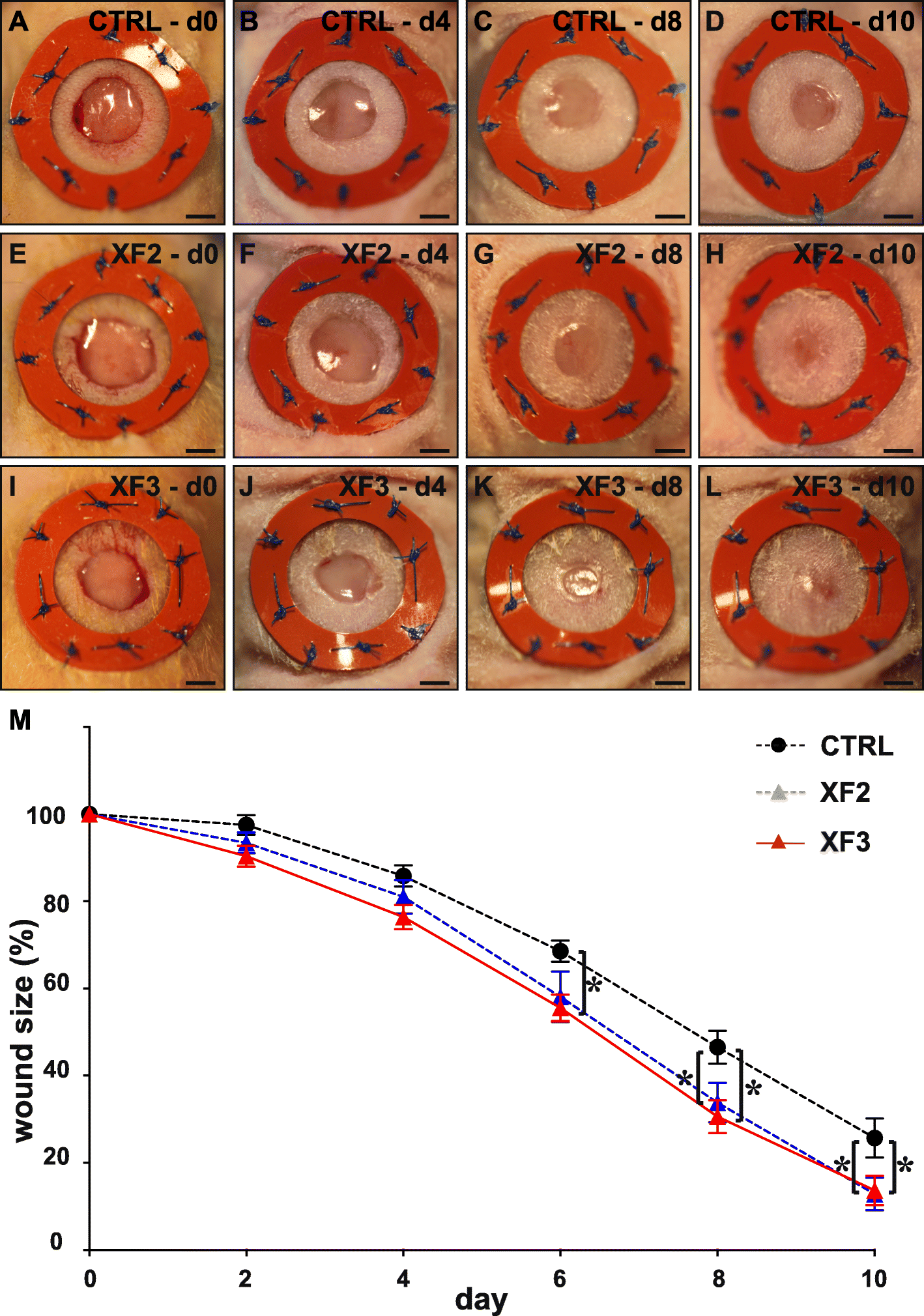 Fig. 5