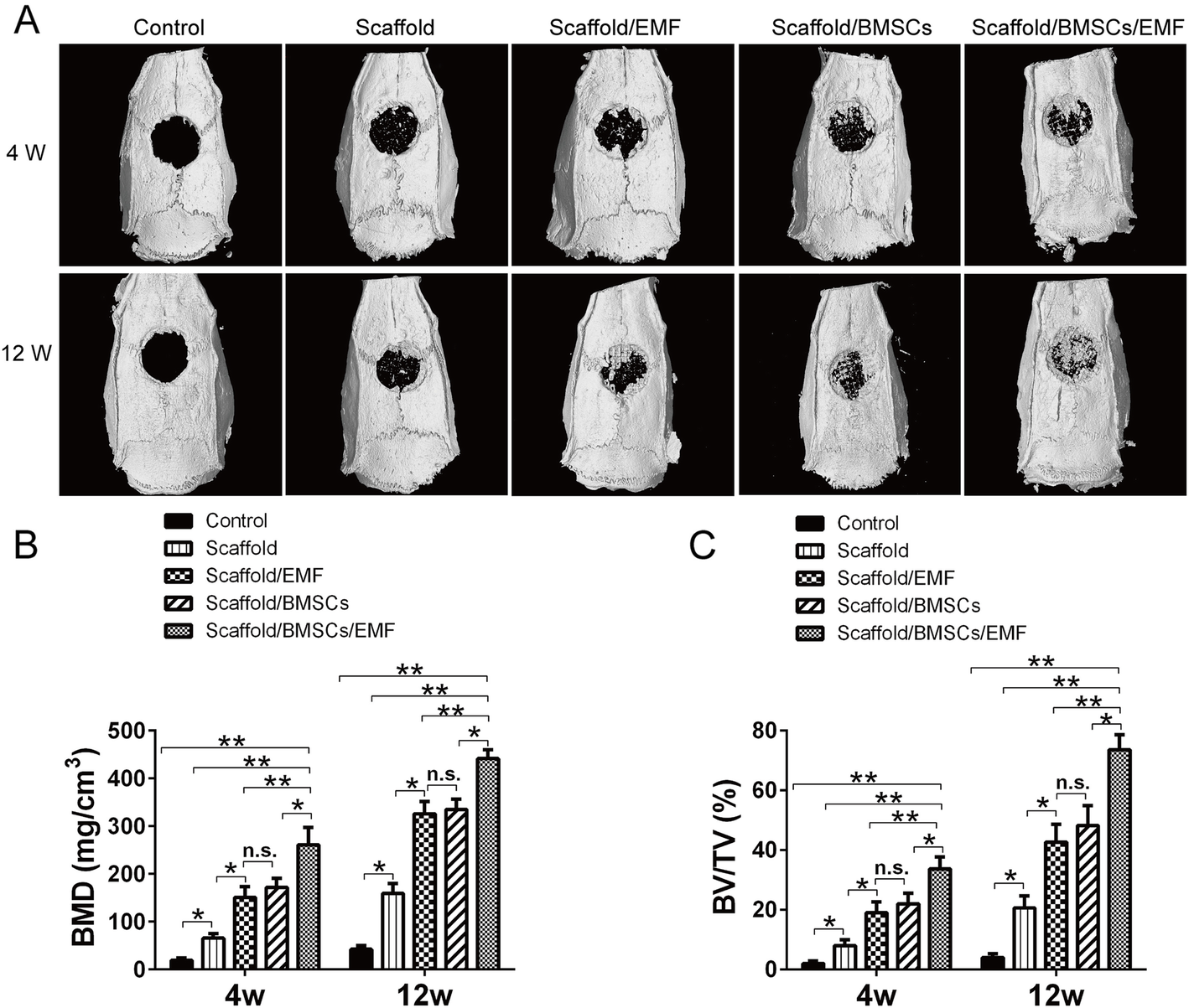 Fig. 7