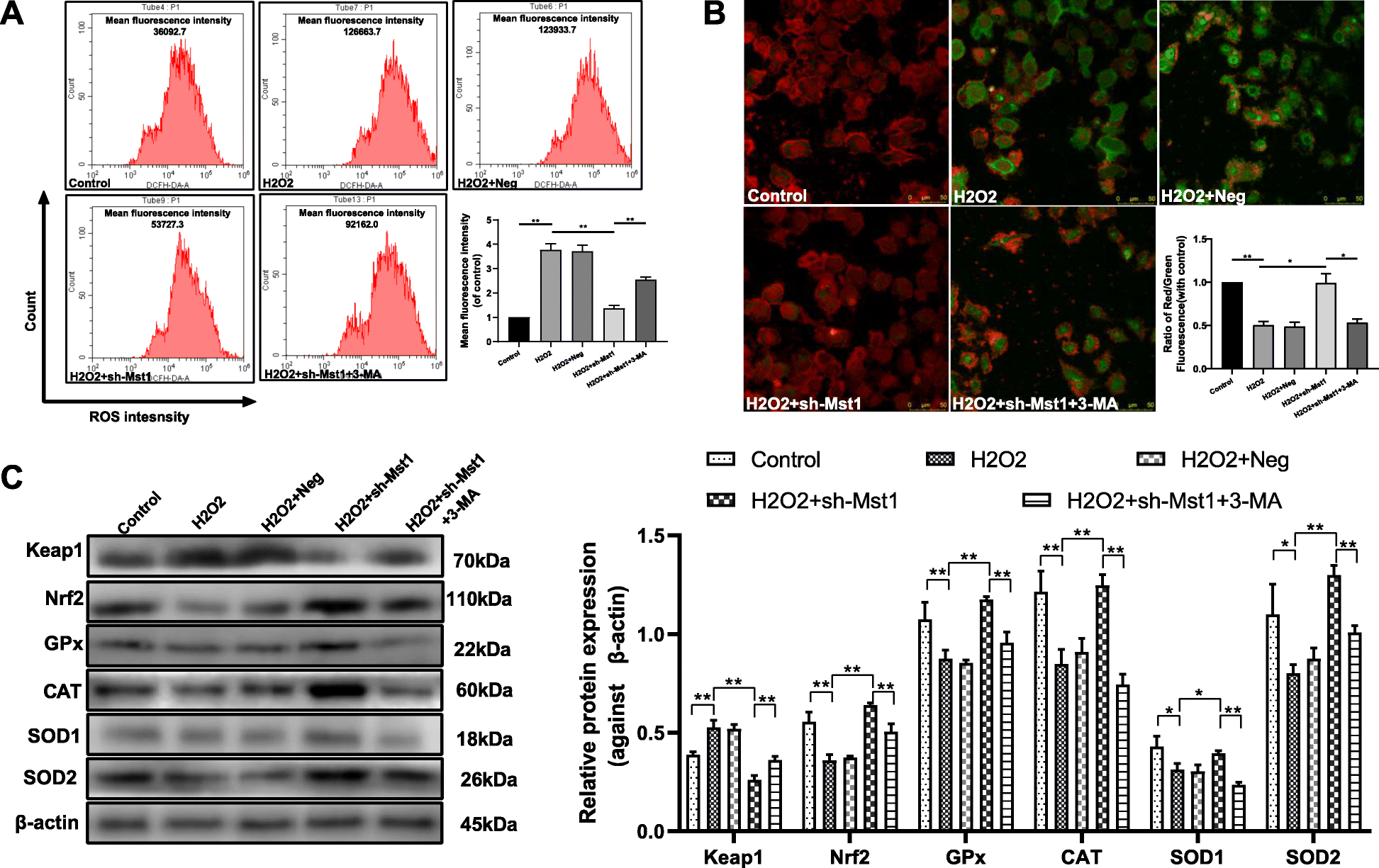 Fig. 4