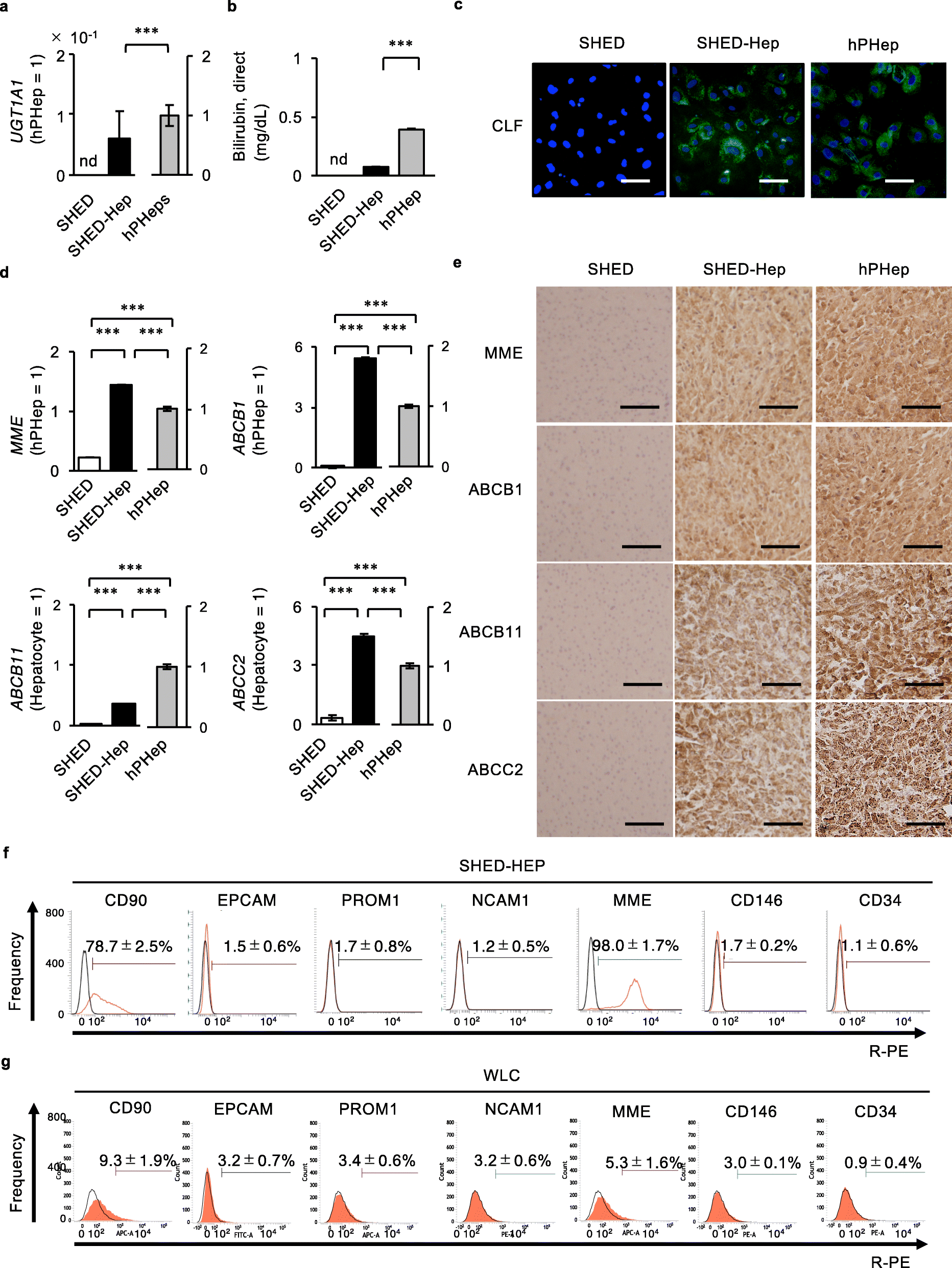 Fig.3