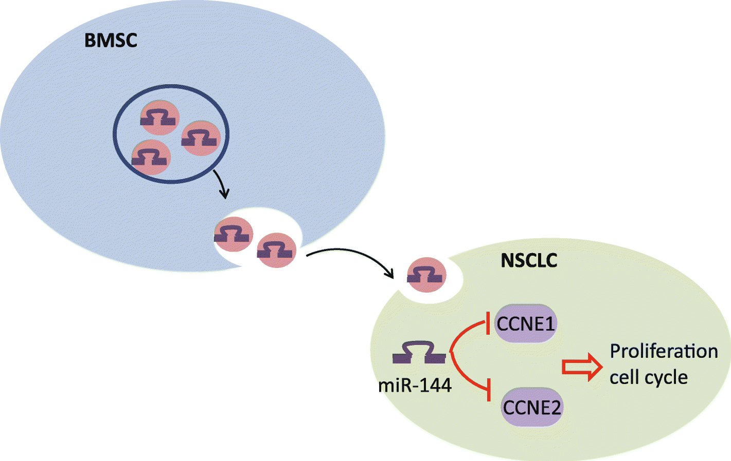 Fig. 9