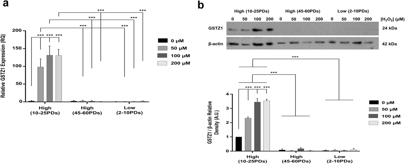 Fig. 12