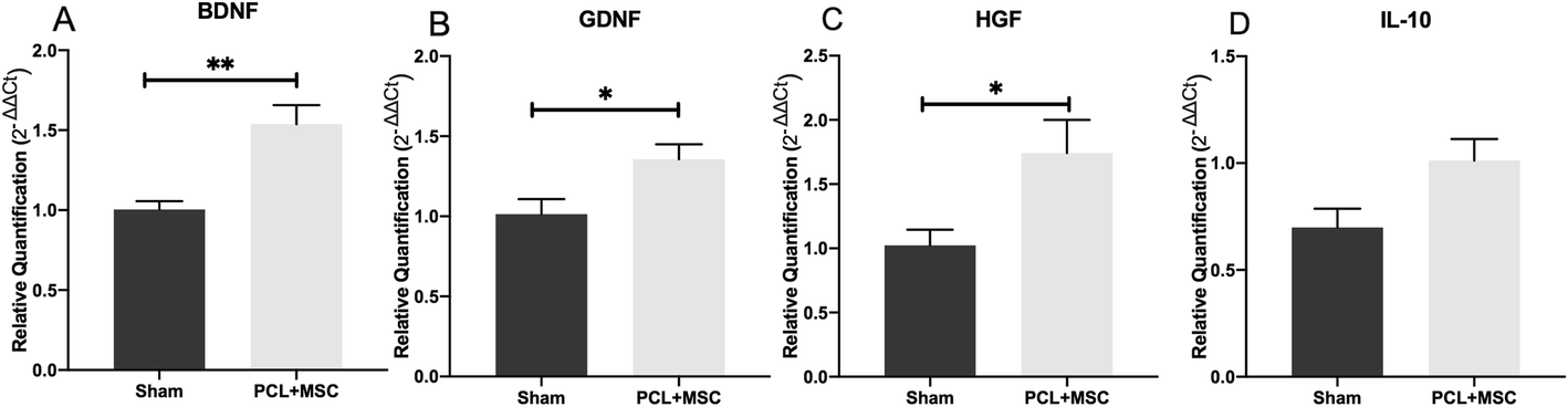 Fig. 11