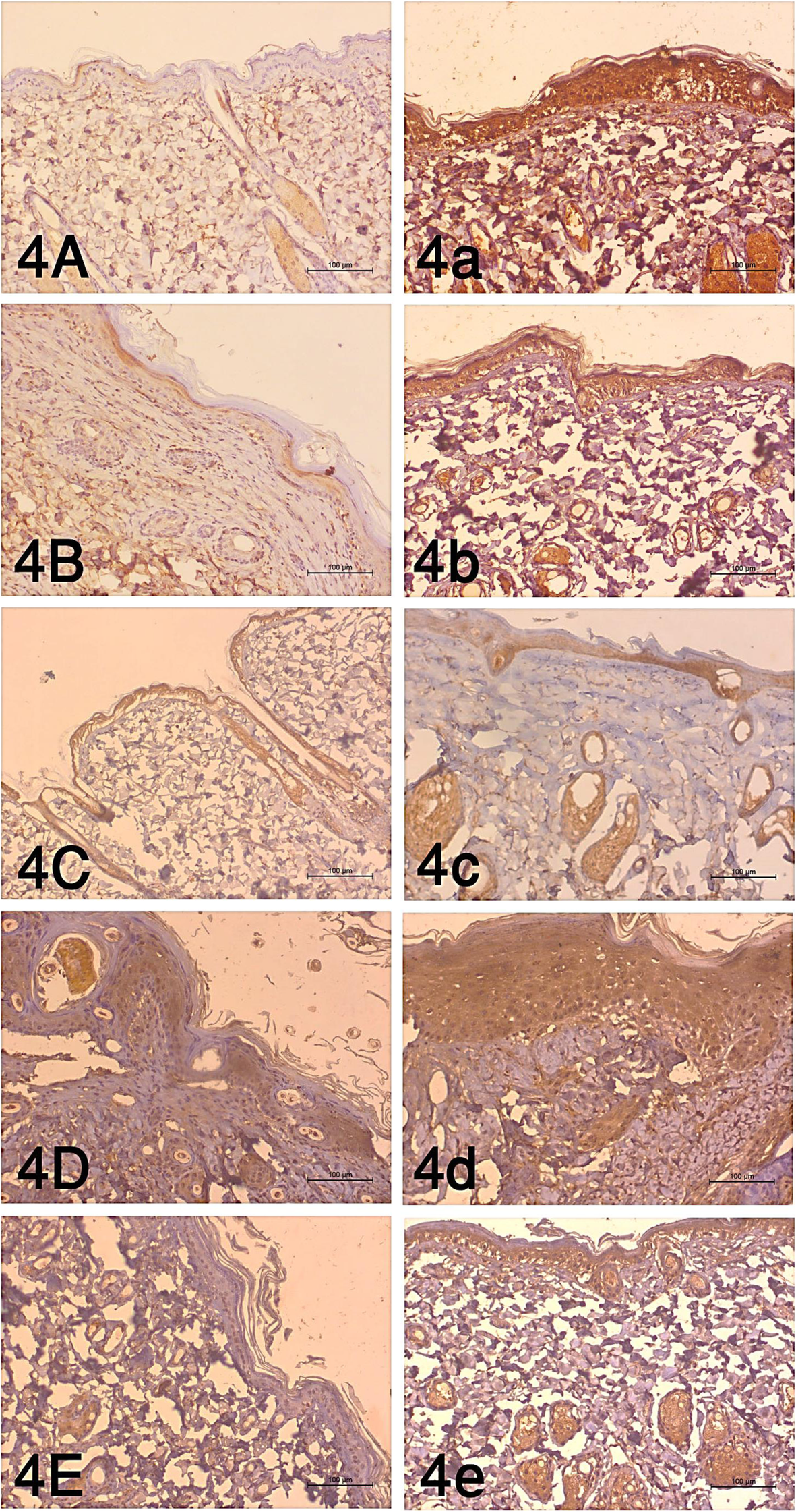 Fig. 4