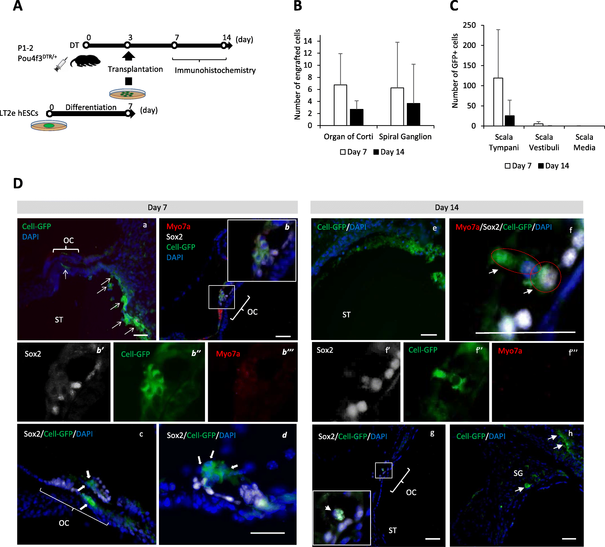 Fig. 4