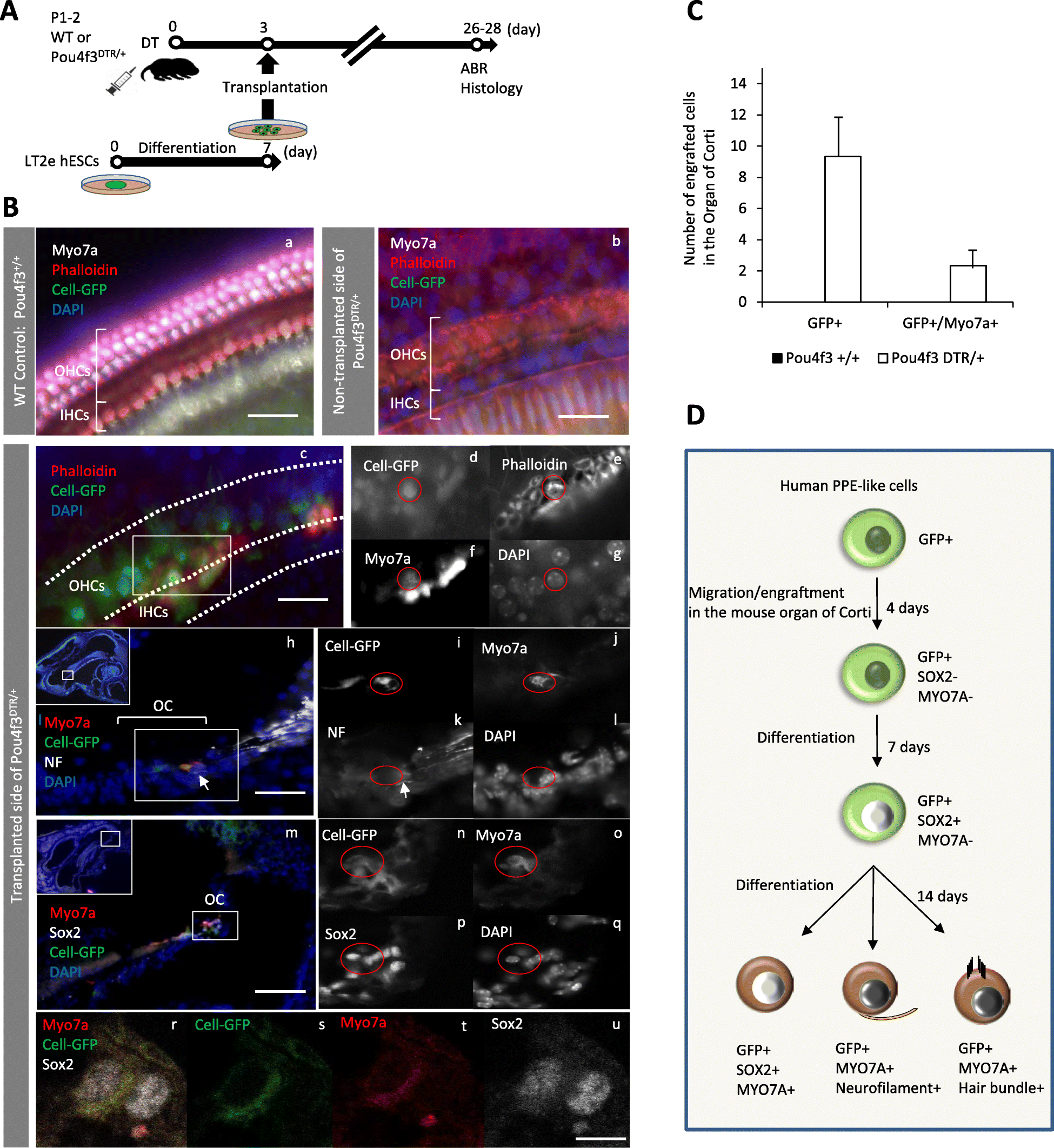 Fig. 5