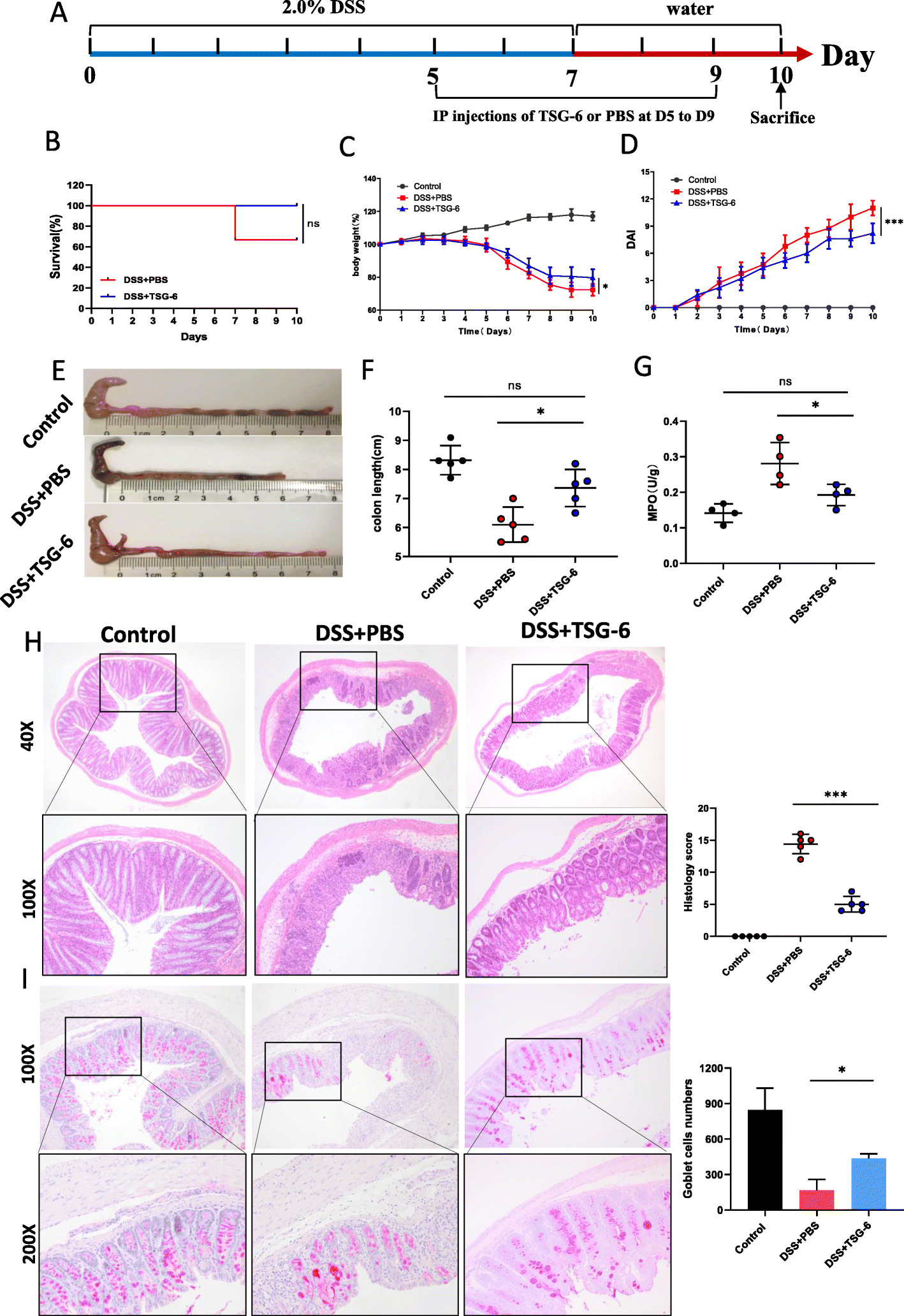 Fig. 11