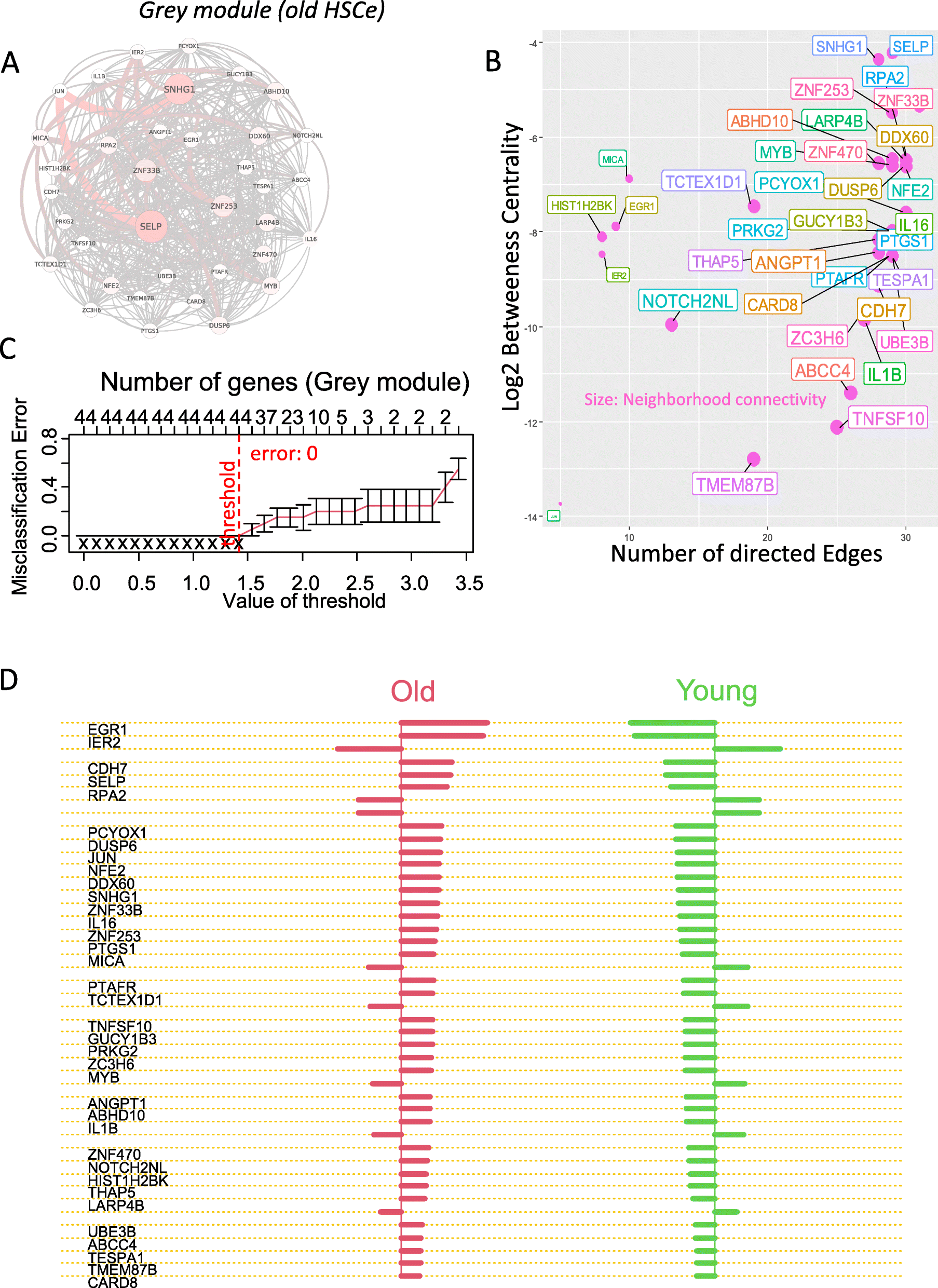 Fig. 5