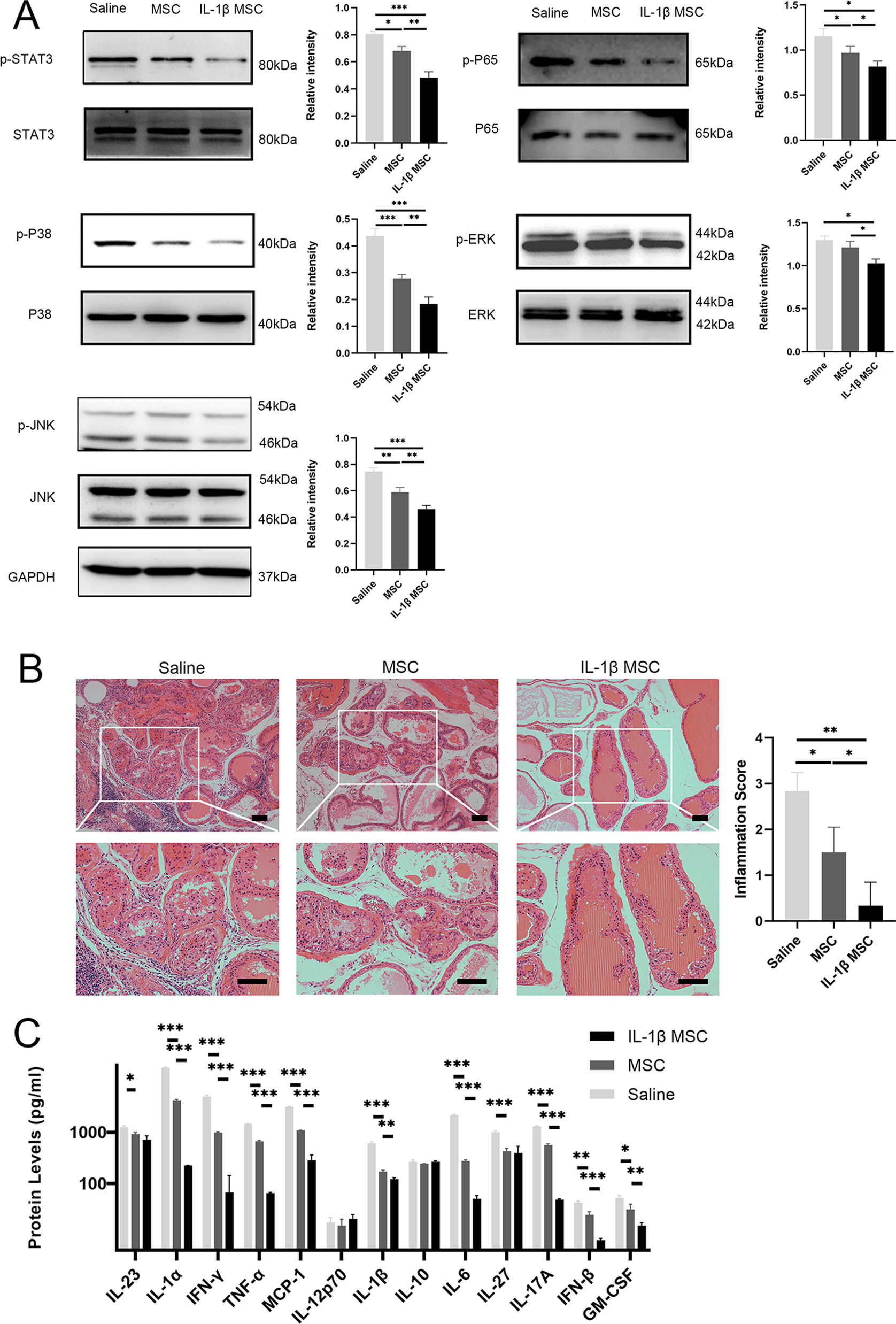 Fig. 6