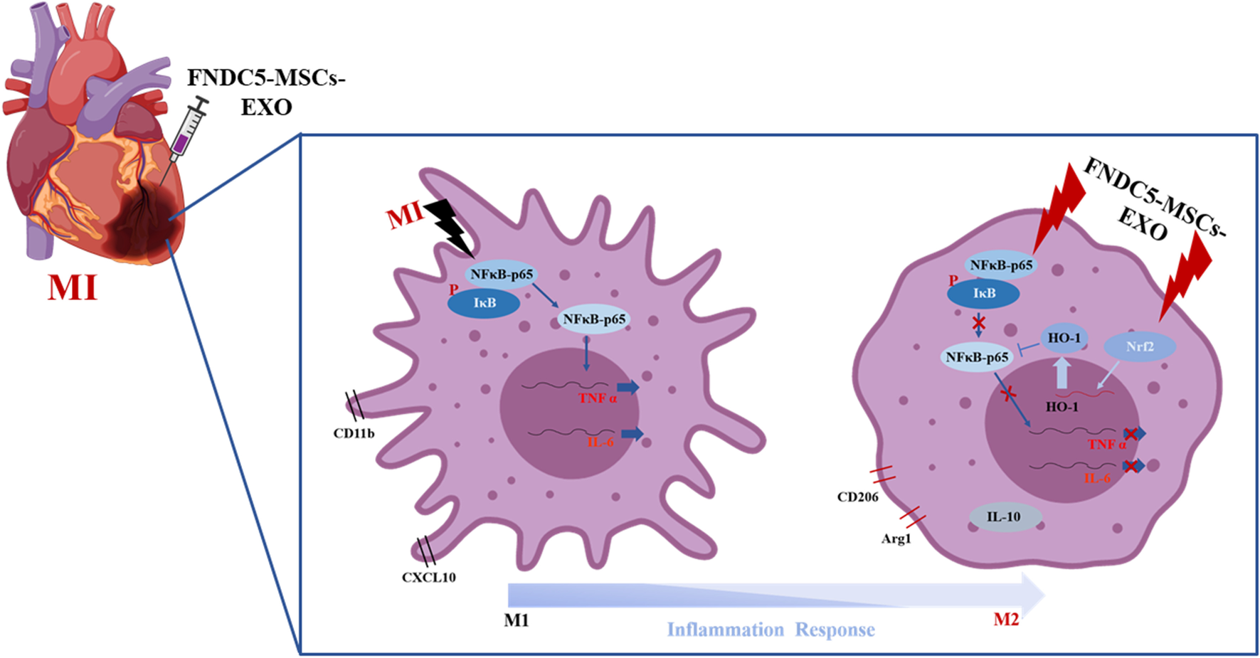 Fig. 8