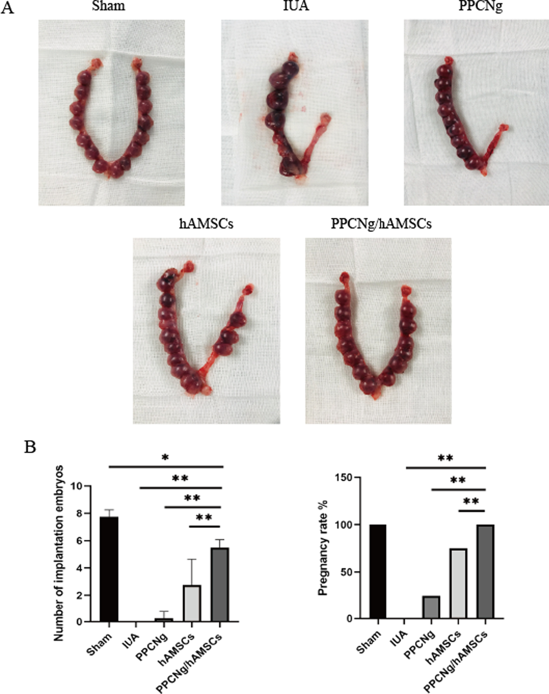 Fig. 10