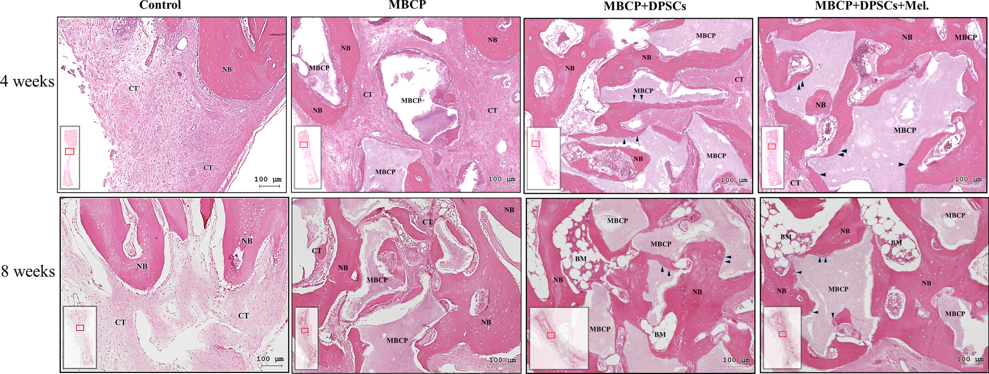 Fig. 10