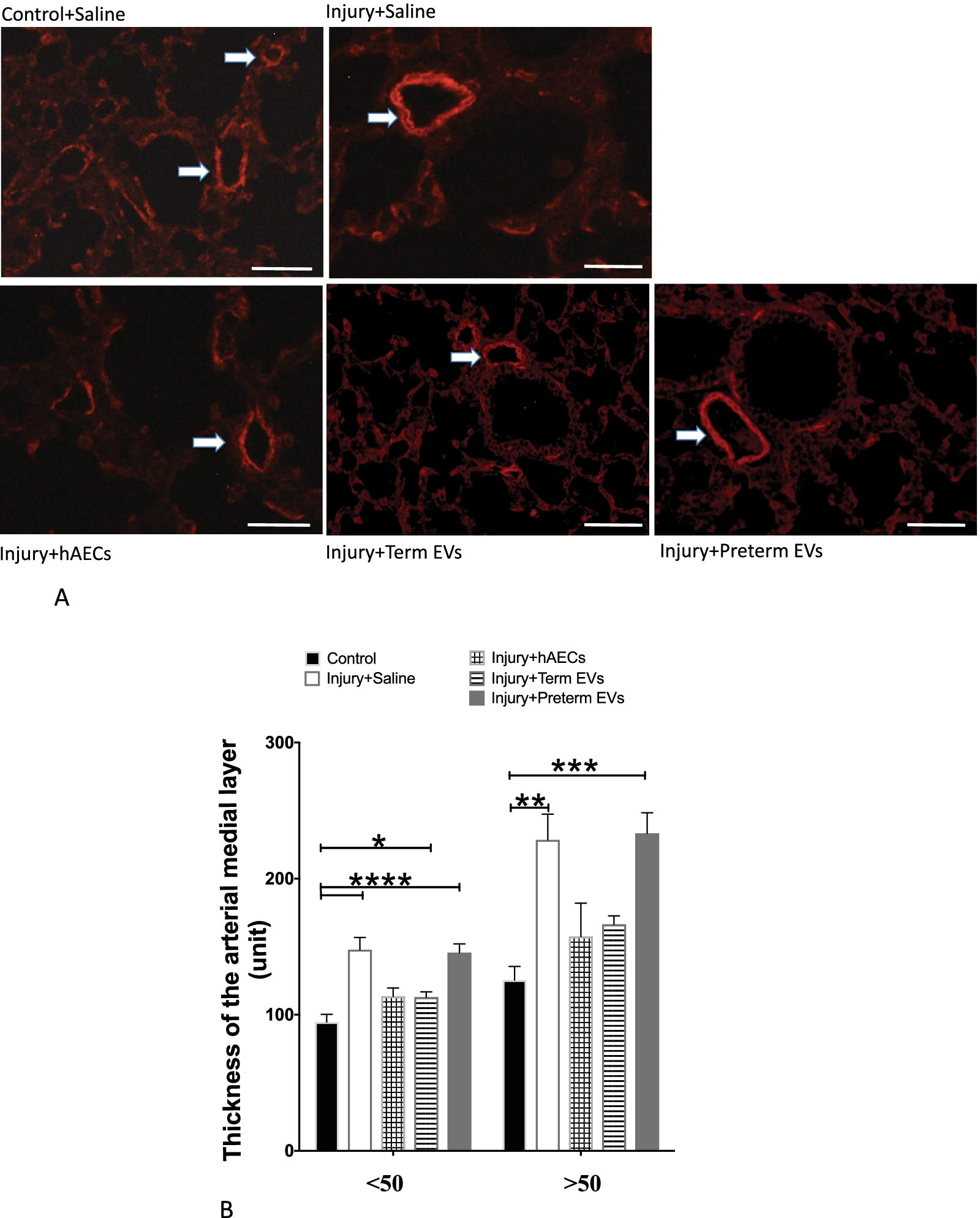 Fig. 11