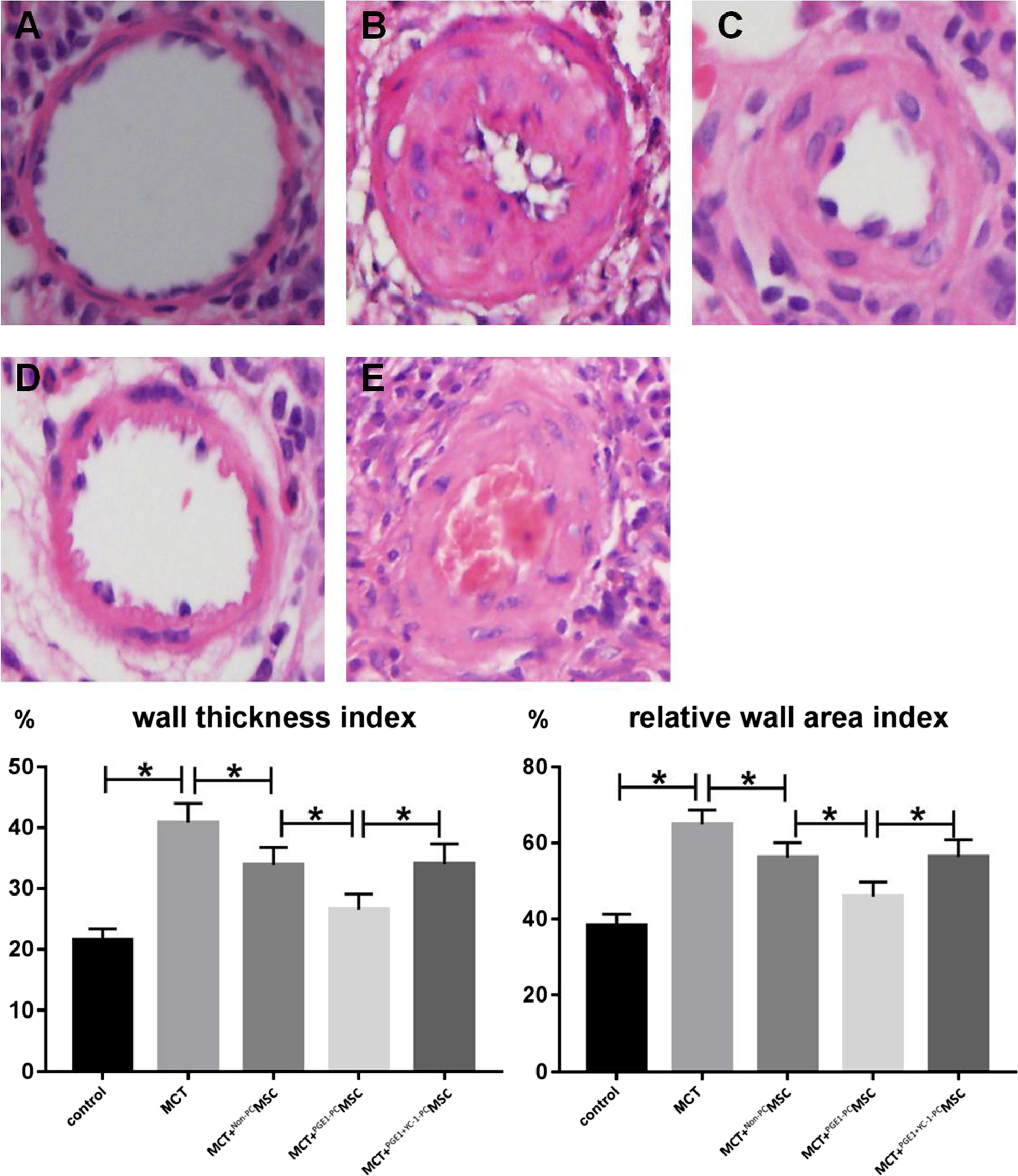 Fig. 9