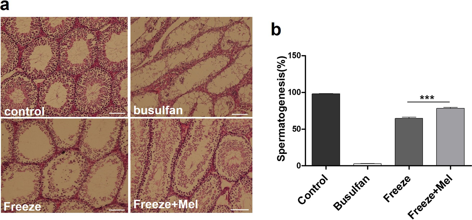 Fig. 8