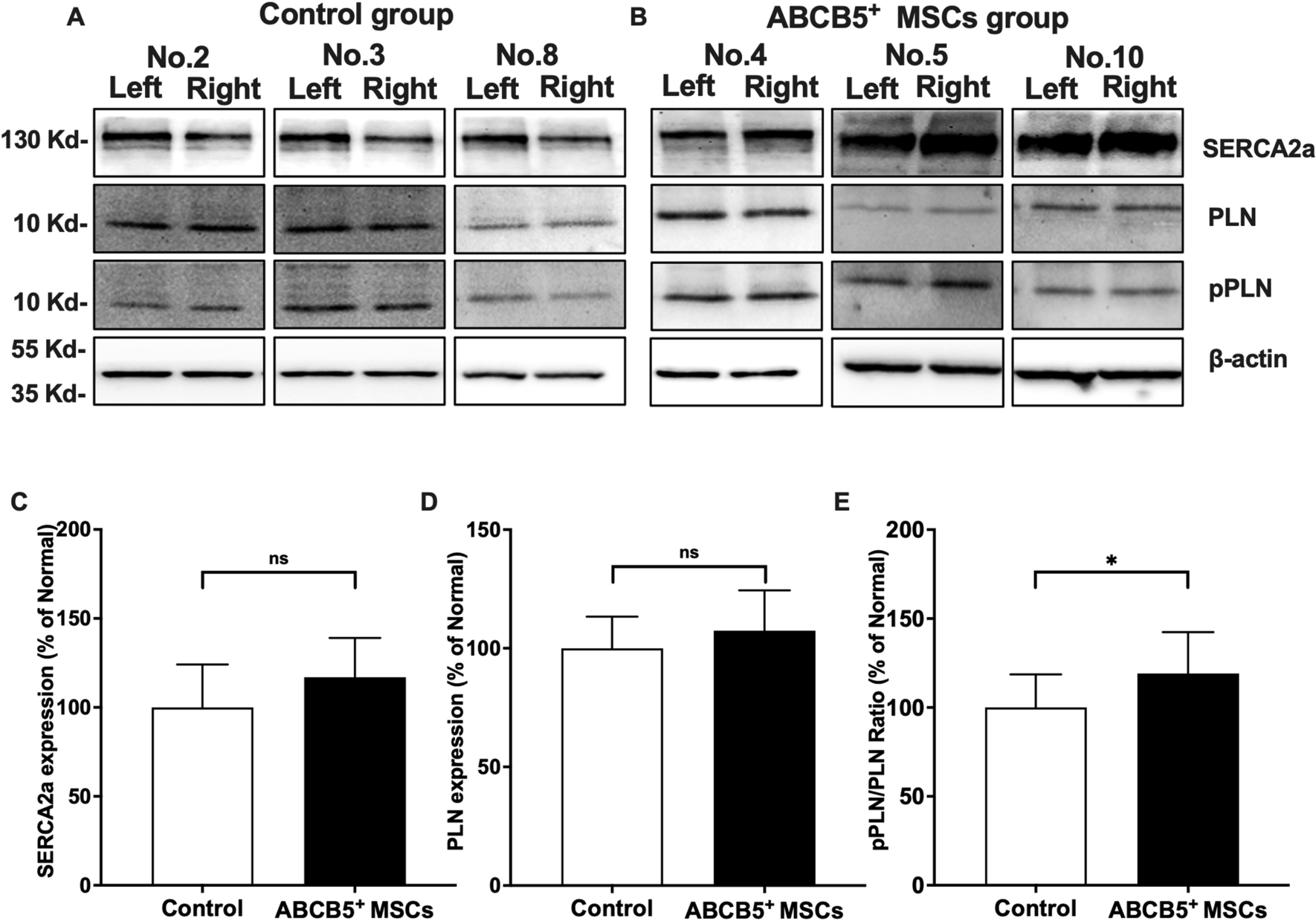 Fig. 9