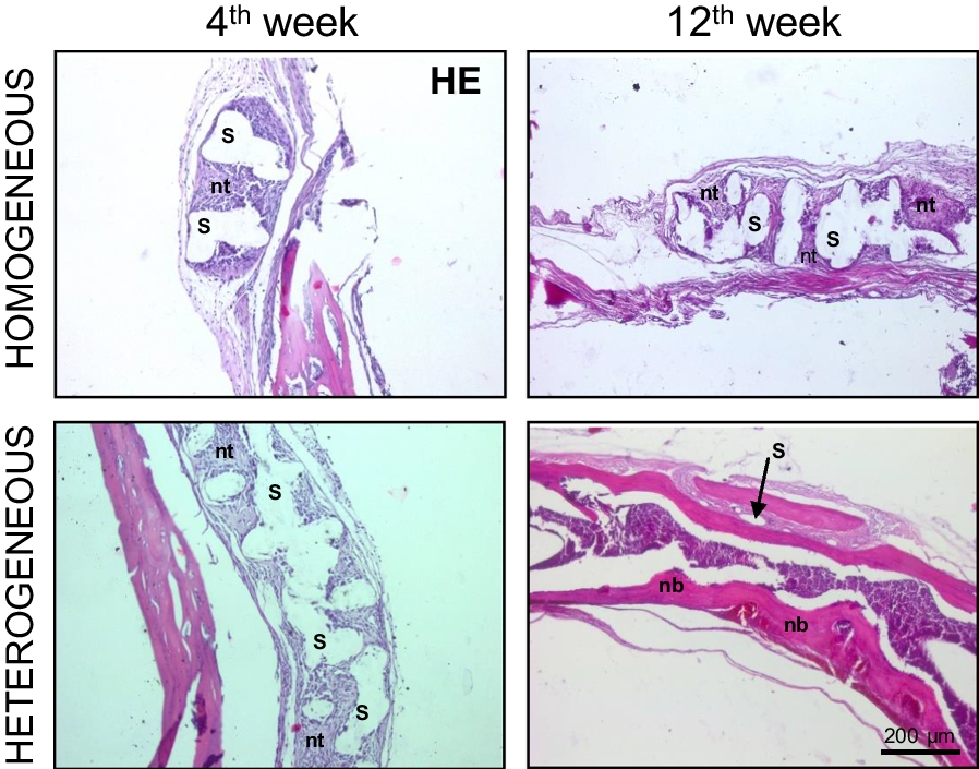 Fig. 11