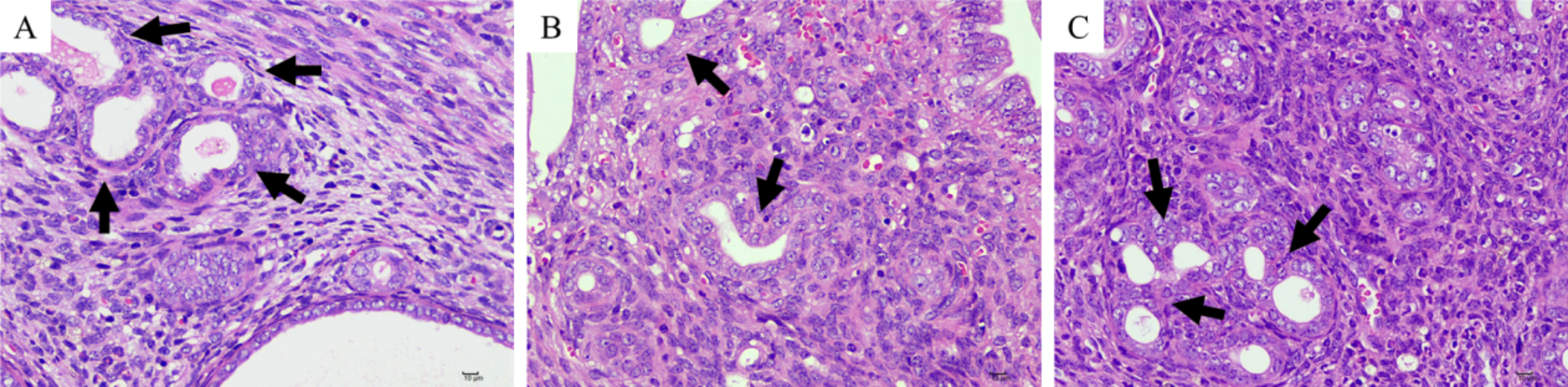 Fig. 6